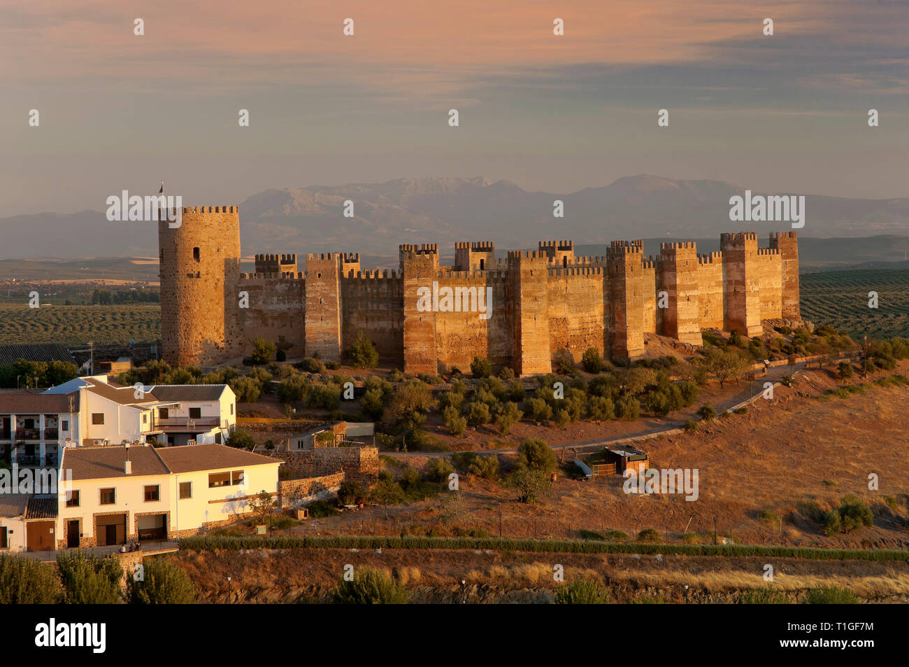 Castello di Burgalimar (X secolo). Baños de la Encina. Provincia di Jaen. Regione dell'Andalusia. Spagna. Europa Foto Stock