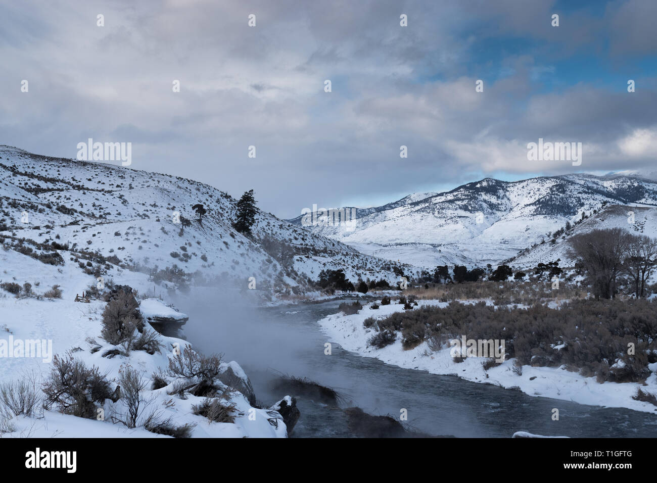 Vista panoramica del fiume bollente che scorre tra la neve-covered​ montagne del Parco Nazionale di Yellowstone in inverno. Foto Stock