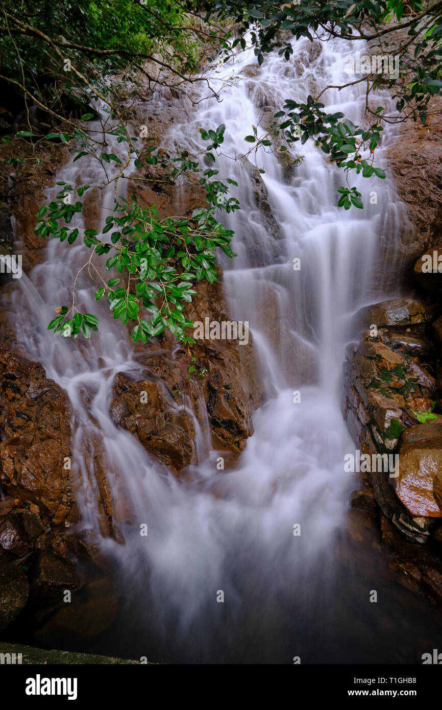 Le Fairy Falls, Paluma Range National Park, Townsville, Queensland, Australia Foto Stock