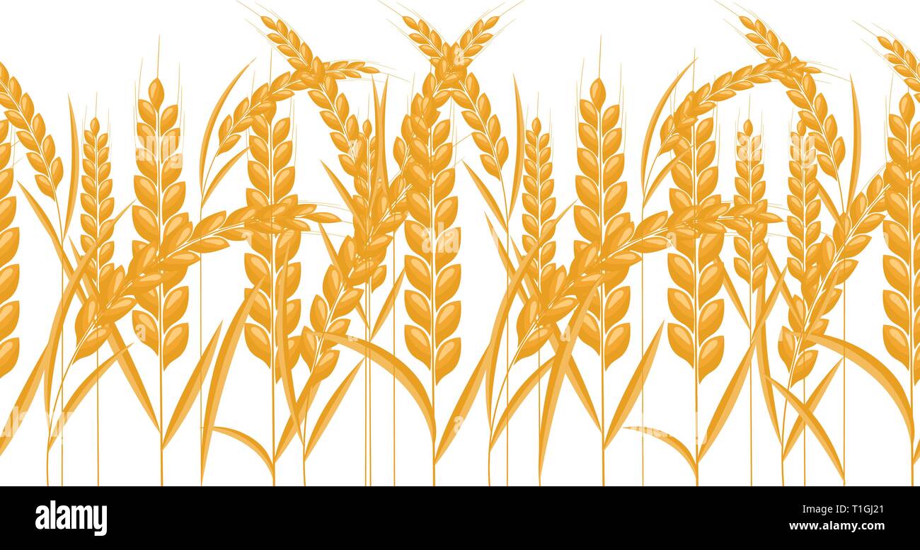 Spighe di grano bordo orizzontale senza giunture. Il colore oro della granella con stile cartoon. Illustrazione Vettoriale. Illustrazione Vettoriale