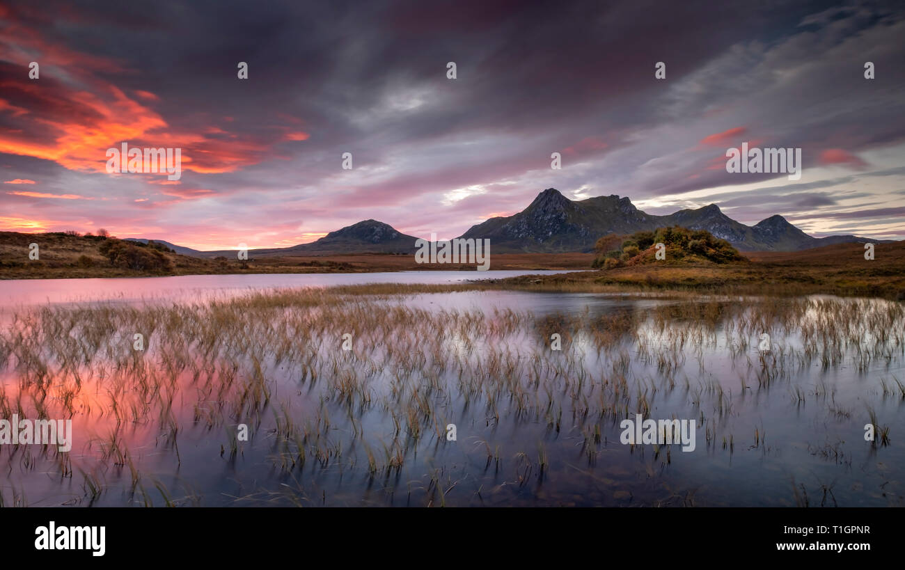 Ben fedele all'alba su Lochan Hakel, vicino a Tongue, Sutherland, Highlands scozzesi, Scotland, Regno Unito Foto Stock