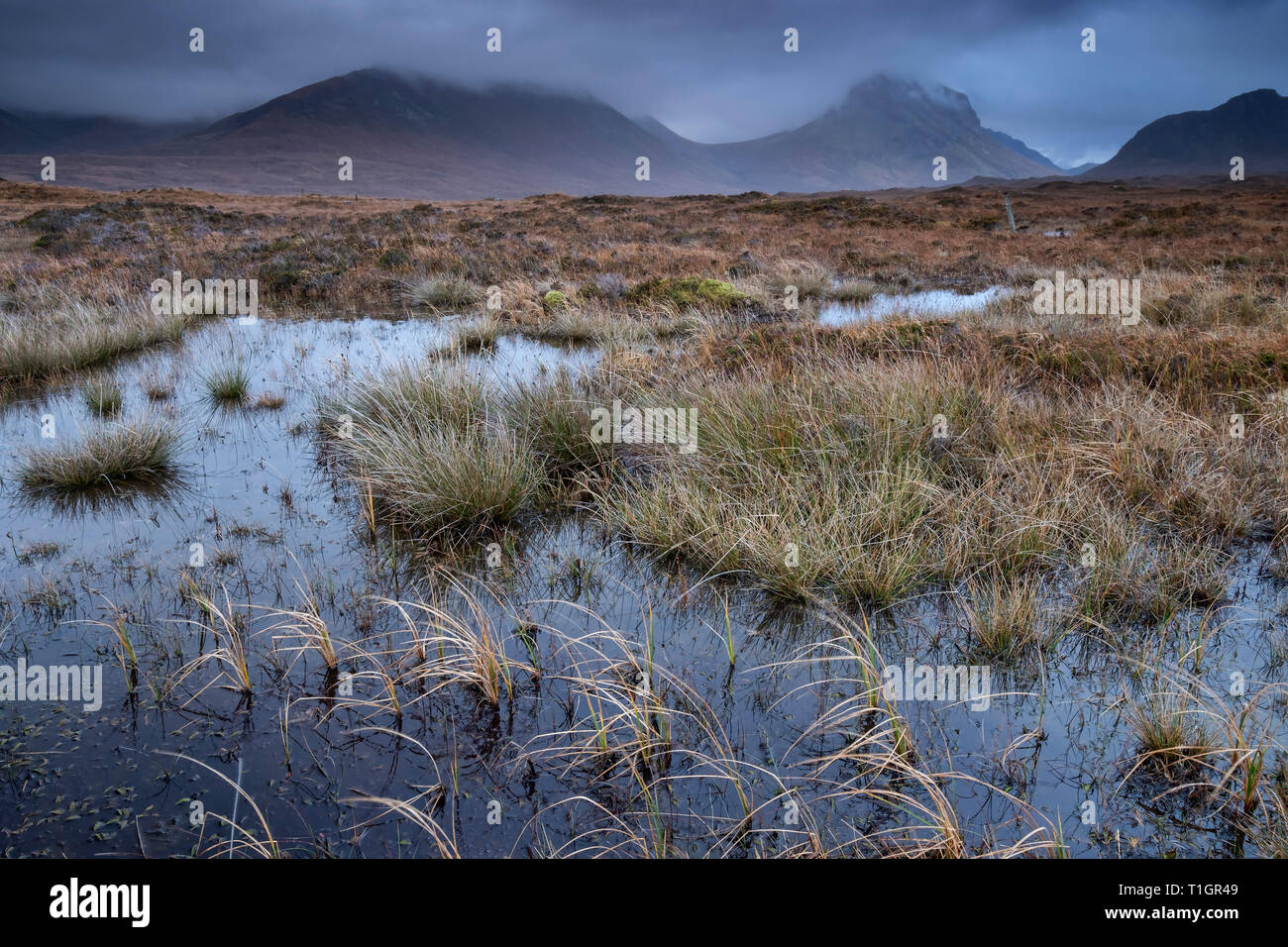 Torbiere e brughiera supportato da Cuillin Hills, vicino Sligachan, Isola di Skye, Ebridi Interne, Scotland, Regno Unito Foto Stock