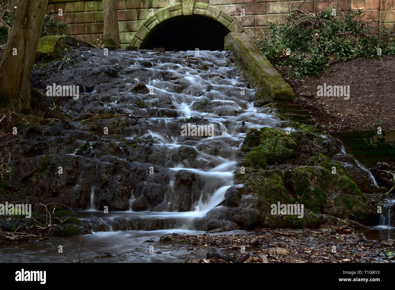 Piccolo ruscello a cascata Coountry Baggaridge Park, South Staffordshire. Foto Stock