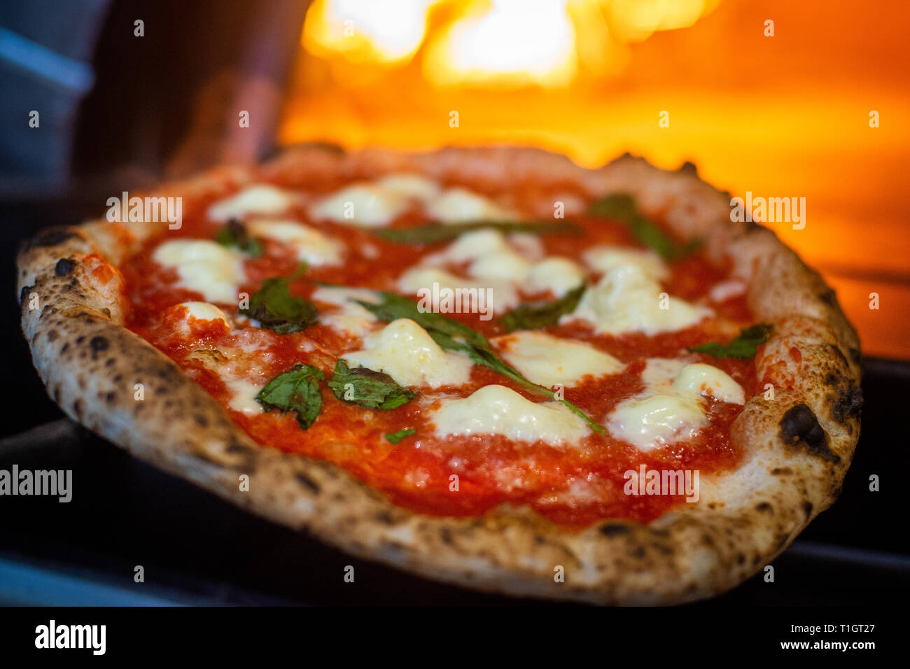 Pizza al forno a legna. Autentico napoletano italiano a legna per pizza  margherita essendo presi al di fuori di un forno a legna. Messa a fuoco  selettiva Foto stock - Alamy