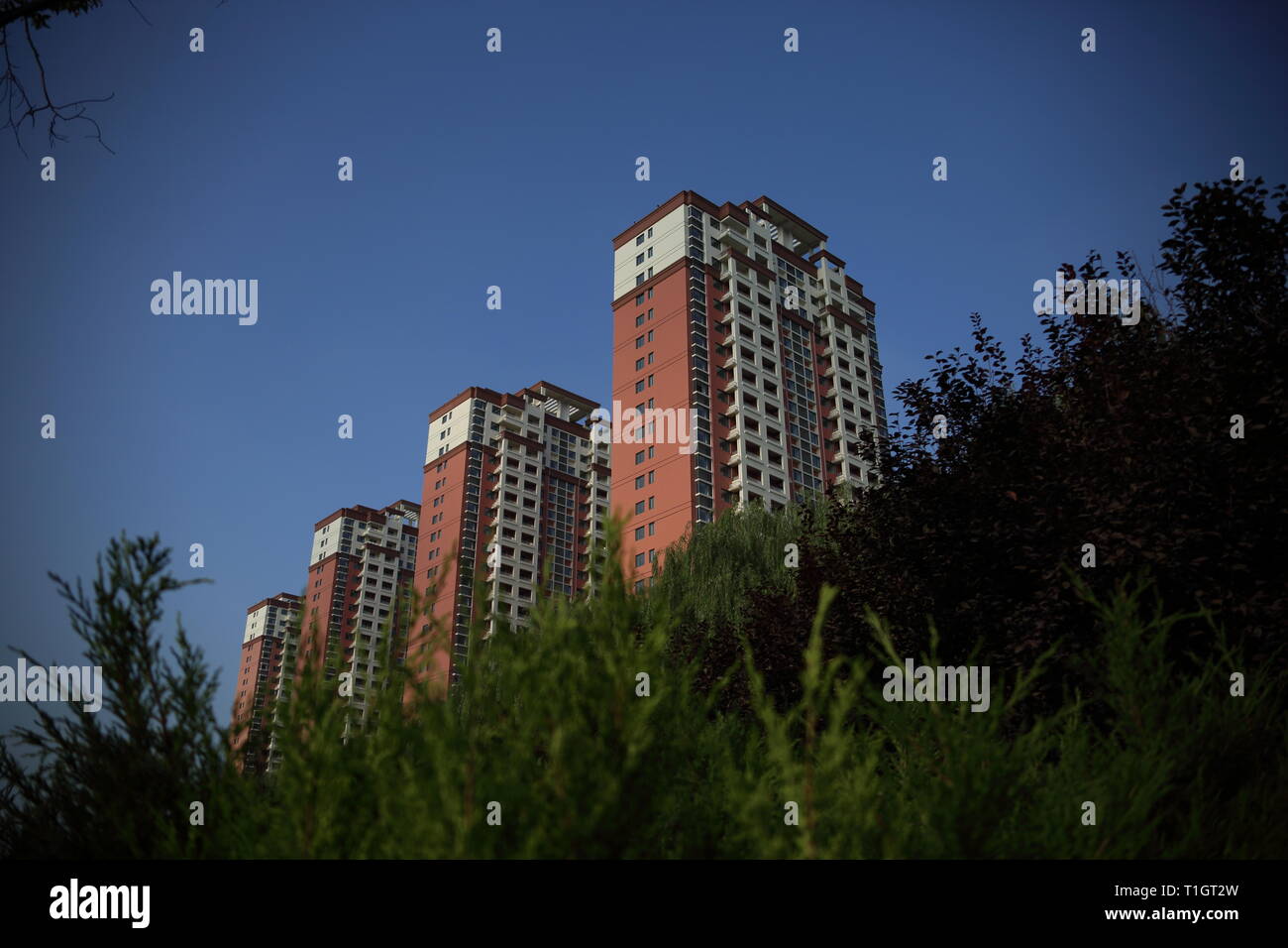 Edificio moderno, Liaocheng Città, Provincia dello Shandong, Cina. Foto Stock