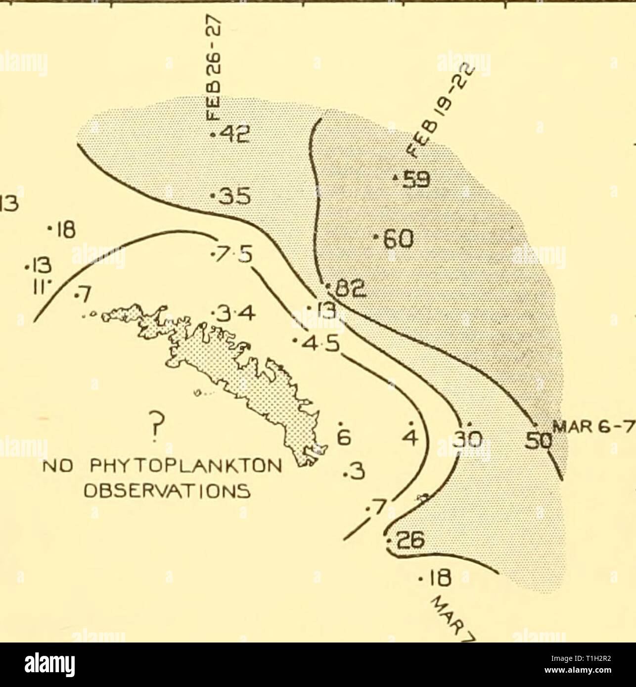 Rapporti di ricerca (1935-1936) Discovery discoveryreports report11inst Anno: 1935-1936 una! Le balene blu // . 1 N * &gt;i J-N 8 :::&' 'V (67 s Fig. 164. Distribuzione di balena in Georgia del Sud, febbraio 1928 (da Kemp e Bennett, 1932). 16- NO fitoplancton w .3 osservazioni Fig. 165. La distribuzione del fitoplancton misurata in volume, cc. per 100 m. raggio verticale con N 50 V net, alla Georgia del Sud, Febbraio-Marzo 1928. Foto Stock