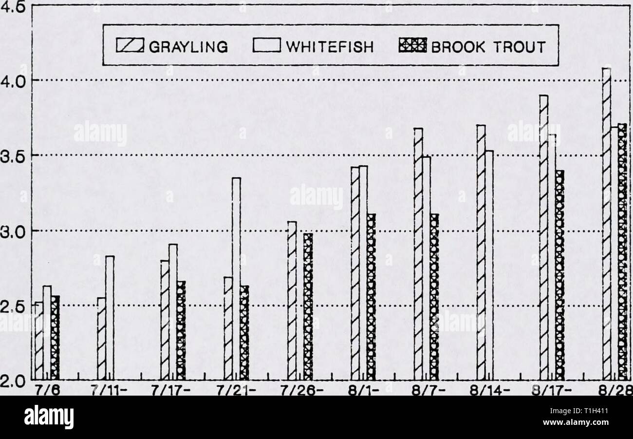 La distribuzione, l'abbondanza relativa di habitat e distribuzione, l'abbondanza relativa di habitat e di utilizzazione dell'Arctic temolo (Thymallus arcticus) in alto Grande Fiume Foro di drenaggio, Montana, 21 Giugno ad Agosto 28, 1989: relazione finale distributionrela00mcmirich Anno: 1990 &gt; lunghezza totale (a) " 7/11- 7/17- 7/21- 7/26- 8/1- 8/7- 8/14- 8/17- 14 20 24 27 3 DATA 10 16 21 8/28 Figura 2. Lunghezza media dei giovani dell'anno Arctic grayling (N=654), montagna coregoni (N=255), e la trota di fiume (N=285) versus data per il foro grande fiume e i suoi affluenti, dal 6 luglio al 28 agosto 1989. 16 Foto Stock