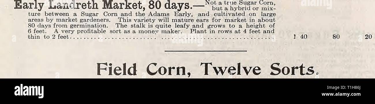 D Landreth società sementiera D. Sementi Landreth Azienda : [catalogo] DLandrethSeedCo00LandC Anno: 19uu motivi di prova.-venti otto le.st.- della colonna vertebrale bianca cetriolo, campioni distinti acquistati da dieci commercianti di sementi, .uU sostenendo di ceppi di vendere meglio di loro neiglibors. Due righe o cinquanta piante per ciascun campione-prove di seguito mostra molte incongruenze o variazioni in merito. Sappiamo qualcosa circa i meriti di diverse marche di spine bianche. Il cetriolo. Quattro once di seme di loo cantieri di fila. Tre libbre per acro l. Periodo di scadenza 40 a sessanta giorni dalla semina, secondo le varietà di un Foto Stock