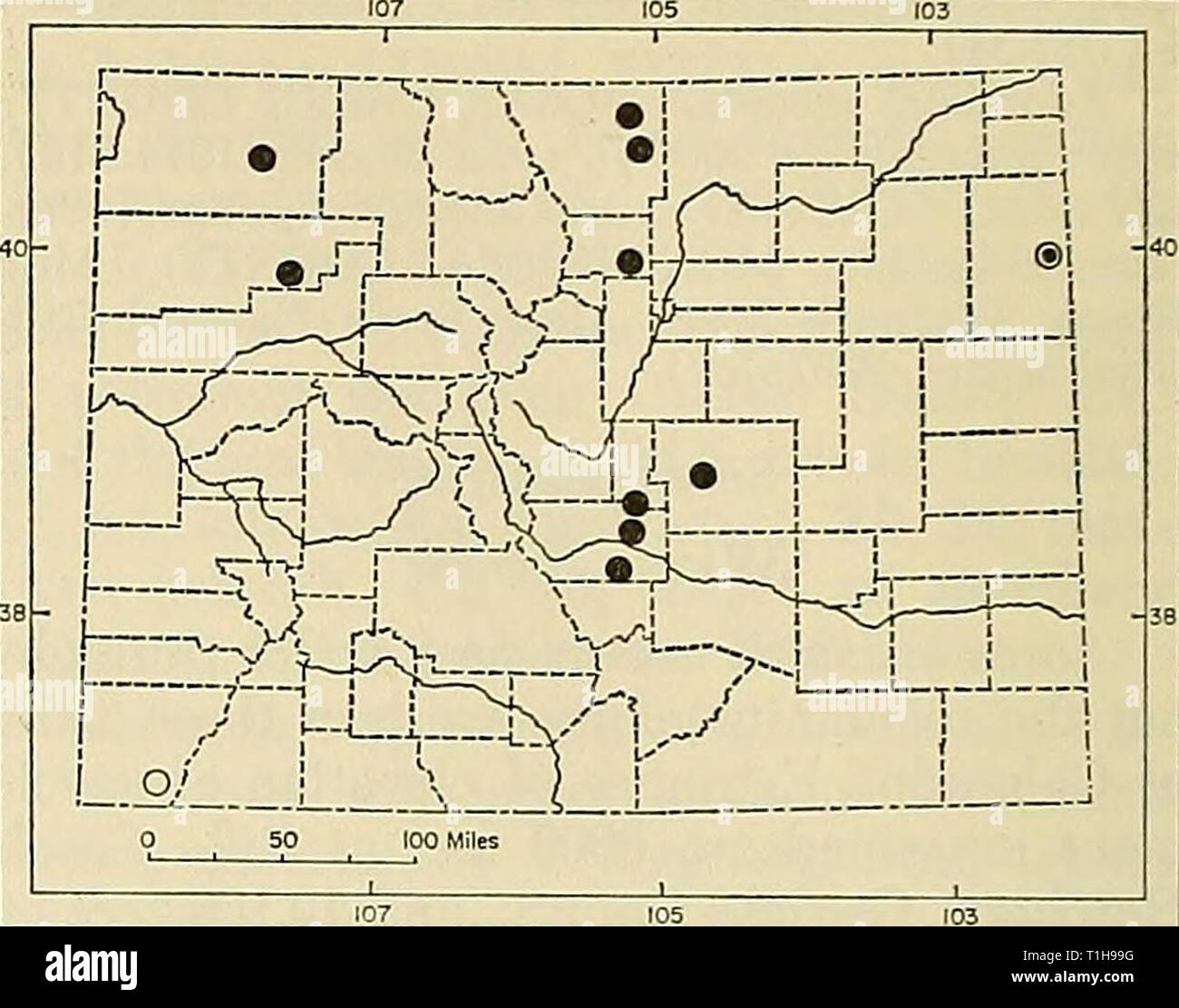 La distribuzione dei mammiferi in Colorado Distribuzione di mammiferi in Colorado distributionofma bracci31972Anno: 1972 50 MONOGRAFIA MUSEO DI STORIA NATURALE n. 3 (KU); 1 1/2 MI. S, 8 mi E Skyway, 9500 ft., 1 (KU); 2 mi. S, 8 mi. E Skyway, 9000 ft., 2 (KU); 2 1/2 MI. S, 8 mi. E Skyway, 9600 ft., 2 (KU). GUNNISON COUNTY: gotico, 4 (2 proprio, 2 USNM); vicino al gotico, 1 (UMMZ); vicino Beckwith Pass, 2 (PROPRIO); Almont, 2 (USNM); 33 mi. W Gunnison, 1 (CM). CHAFFEE COUNTY: St. Elmo, 10,100 ft., 4 (USNM); Poncha Creek, 10 mi. SW Salida, 8500 ft., 3 (KU). TELLER COUNTY: 10 mi. N Florissant, 8900 ft., 2 (FWS). EL PASO Foto Stock