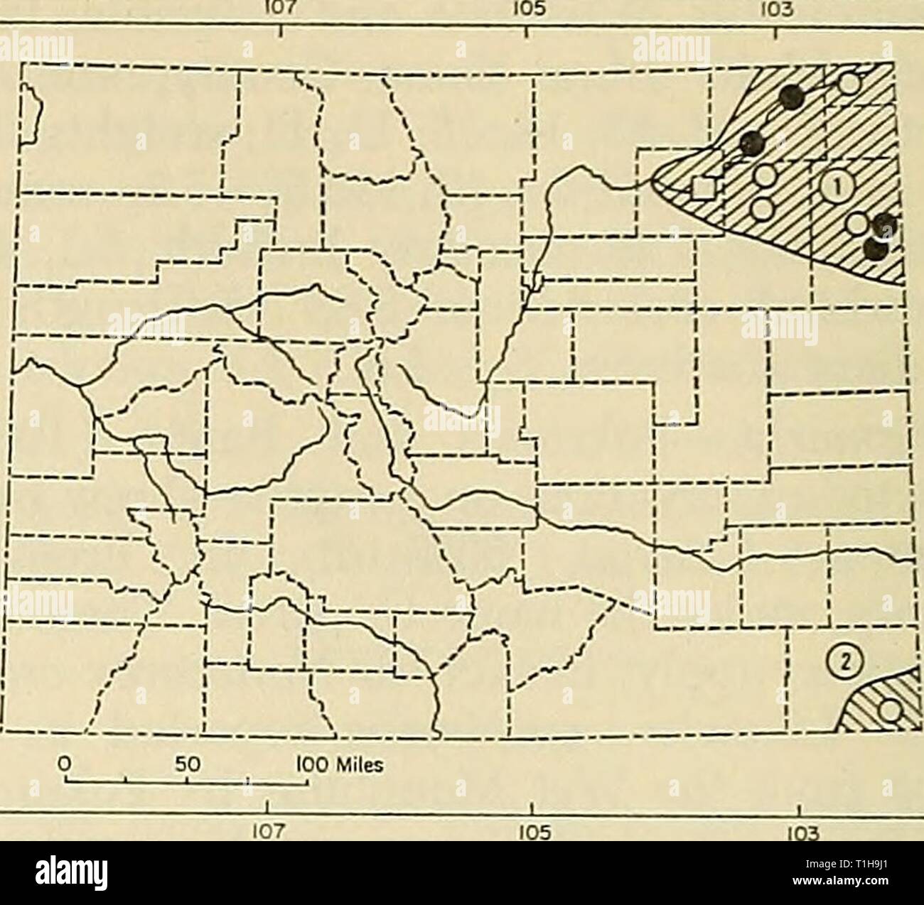 Velocità datazione Grand Junction