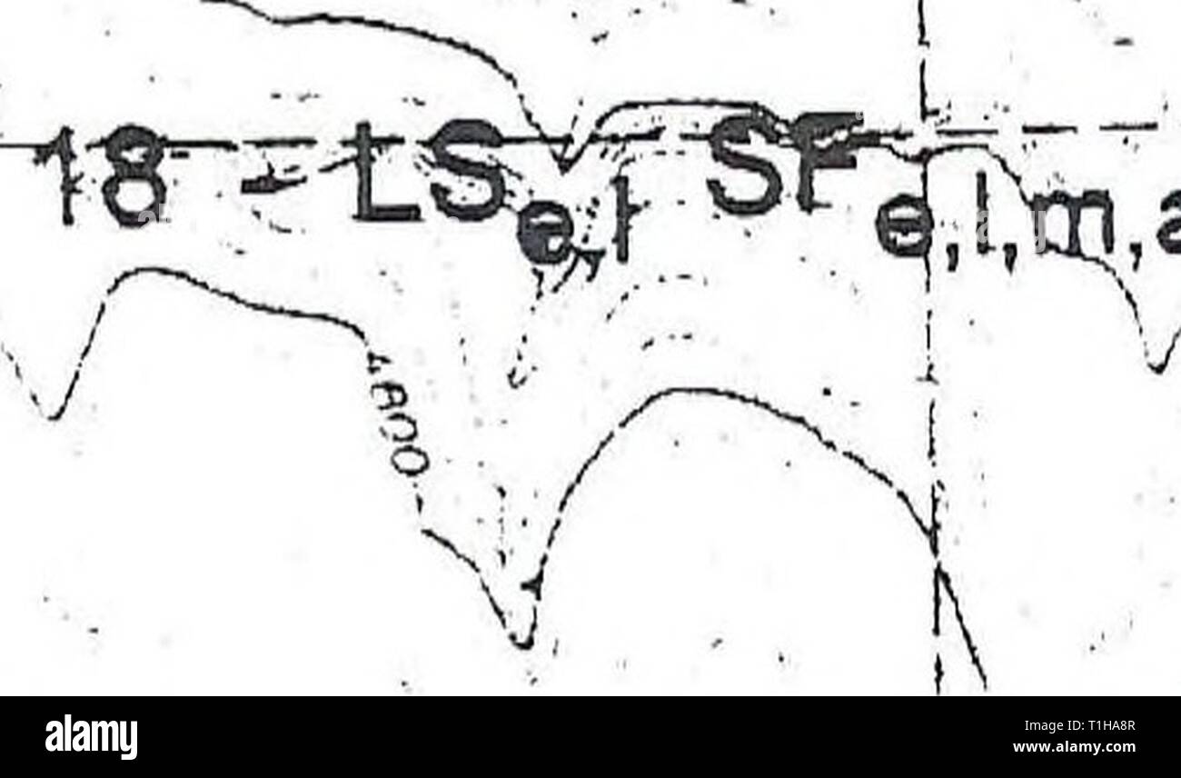 La distribuzione, la relativa abbondanza e distribuzione di habitat, relativa abbondanza, habitat e le associazioni di anfibi e rettili sulla montagna di Craig, Idaho distributionrela11llew Anno: 1998 /- A / 1-- BS,,, S|un WT, 7 ' â 'SgpSPfT r' &lt;". ; W,,, pt3 N W &gt; 1 km LS = Long-toed Salamander WT = occidentale (boreale) Toad PT = Pacific Treefrog SF = Rana maculato TG = Western Terrestrial Garter Snake CG= Common Garter Snake a = adulti(s) c = chiamando e = uova 1 = larve o girini m = metamorphs (anfibi) j = novellame figura 37. Ubicazione di stagni e gli anfibi e rettili dal Foto Stock