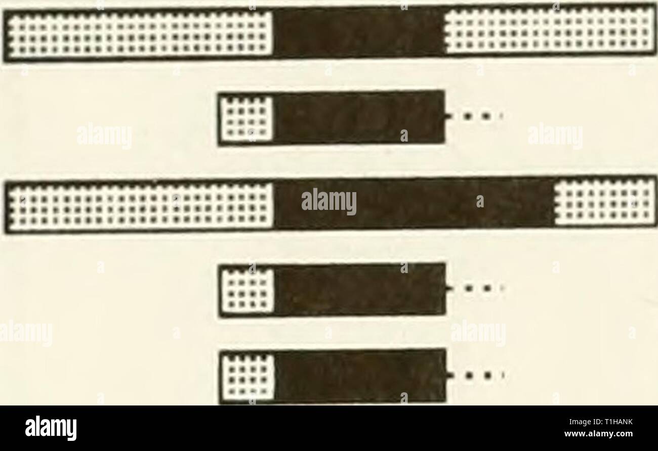 Distribuzione e abbondanza di pesci di distribuzione e abbondanza di pesci e invertebrati in atlantico Mid- estuari distributionabun00Unità Anno: 1994 Tabella 5, ha continuato. Distribuzione temporale estuario / Mese specie / stadio della vita di erba Daggerbiade gamberetti Palaemonetes pugio Sevenspine bay gamberetti della specie Crangon septemspinosa Mid-Atlantic estuari Tangeri/Sd Pocomoke JFMAMJJASOND Fiume Rappahannock JFMAMJJASOND Foto Stock