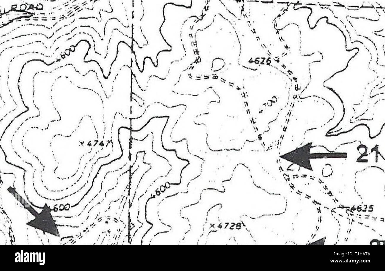 La distribuzione, la relativa abbondanza e distribuzione di habitat, relativa abbondanza, habitat e le associazioni di anfibi e rettili sulla montagna di Craig, Idaho distributionrela11llew Anno: 1998 Punto di Hoover, Idaho Lewis County 22-LS, PTm SFm. I m m.a, WG CG H-LSe, PT, SFM WG '' '*i) 15nell?VsOLt&GT;"7/ / ' rS * * 00 t " 20 - LS.j PT, SFlja WG 9-LSeJ PT,,m SFeJJa WT, WG CG W 1 km LS = Long-toed Salamander WT = occidentale (boreale) Toad PT = Pacific Treefrog SF = Spotted Frog WG = Western terrestre serpente giarrettiera a = adulti(s) c = chiamando e = uova 1 = larve o girini m = metamorphs (anfibi) j = Foto Stock