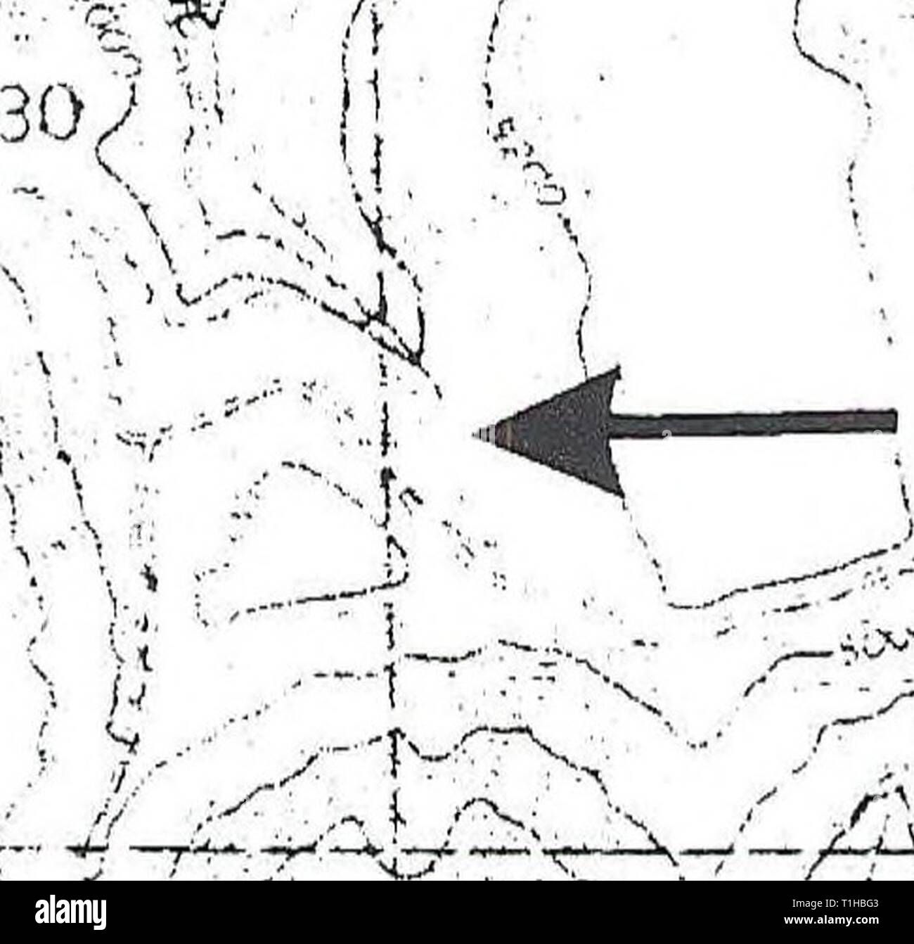 La distribuzione, la relativa abbondanza e distribuzione di habitat, relativa abbondanza, habitat e le associazioni di anfibi e rettili sulla montagna di Craig, Idaho distributionrela11llew Anno: 1998 Frye punto, Idaho NW di Madden stalle .J. Â ( !â / /V&LT;*N! Ho &gt;r V 29 43-i U3,; SFfSJ ,â/ Wft yj Sv/'Y ''â . ' Ri.r ' / â ¢ :&GT; ; ,--â ¢ w 1 km LS = Long-toed Salamander WT - Western (boreale) Toad PT = Pacific Treefrog SF = Spotted Frog WG = Western Terrestrial Garter Snake CG = Comune Garter Snake a = adulti(s) c = chiamando e = uova 1 = larve o girini m = metamorphs (anfibi) figura Foto Stock
