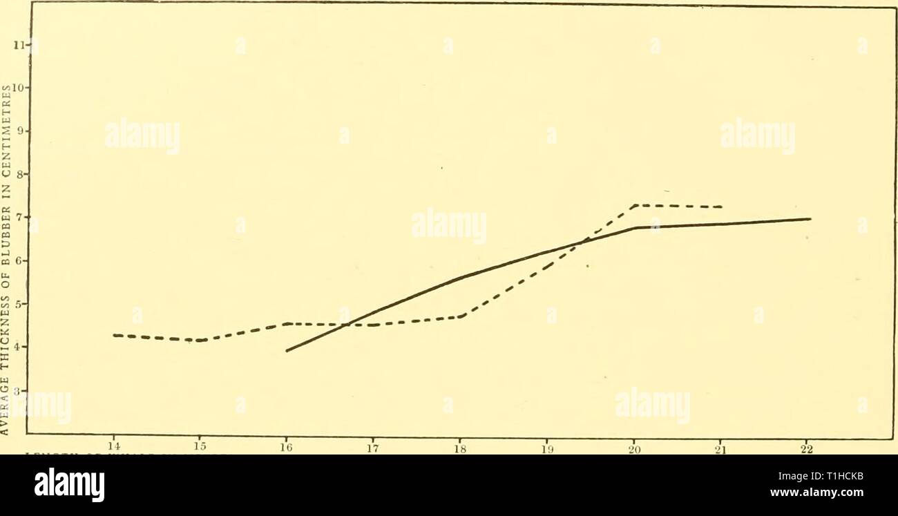 Rapporti di ricerca (1929) Discovery discoveryreports report01257540inst Anno: 1929 366 rapporti ricerche U 15 o BALENA IN METRI Fig. loi. Maschio di balenottere comuni. Variazioni di spessore di blubber con lunghezza di balena. 11- (Â"10' ,x UJ Â â"¢ S 9- s V Xll  â-- â S 8- ,0- X z '  ,' 2 7- ca S S ..,.-..-- , cC * " * ":-- ' ' ' CQ -* ** D '"' -J ca 6- -- â - o ' â â ( ' UJ Z b: H4. S H LU U 3- I 18. IM 2U â¢J'l a â : â â â¢1 .!4 i&lt;j LUNGHEZZA DI BALENA IN METRI di Fig. 102. Blu maschio di balene. Variazioni di spessore di blubber con lunghezza di balena. Georgia del sud le balene. South African balene Foto Stock