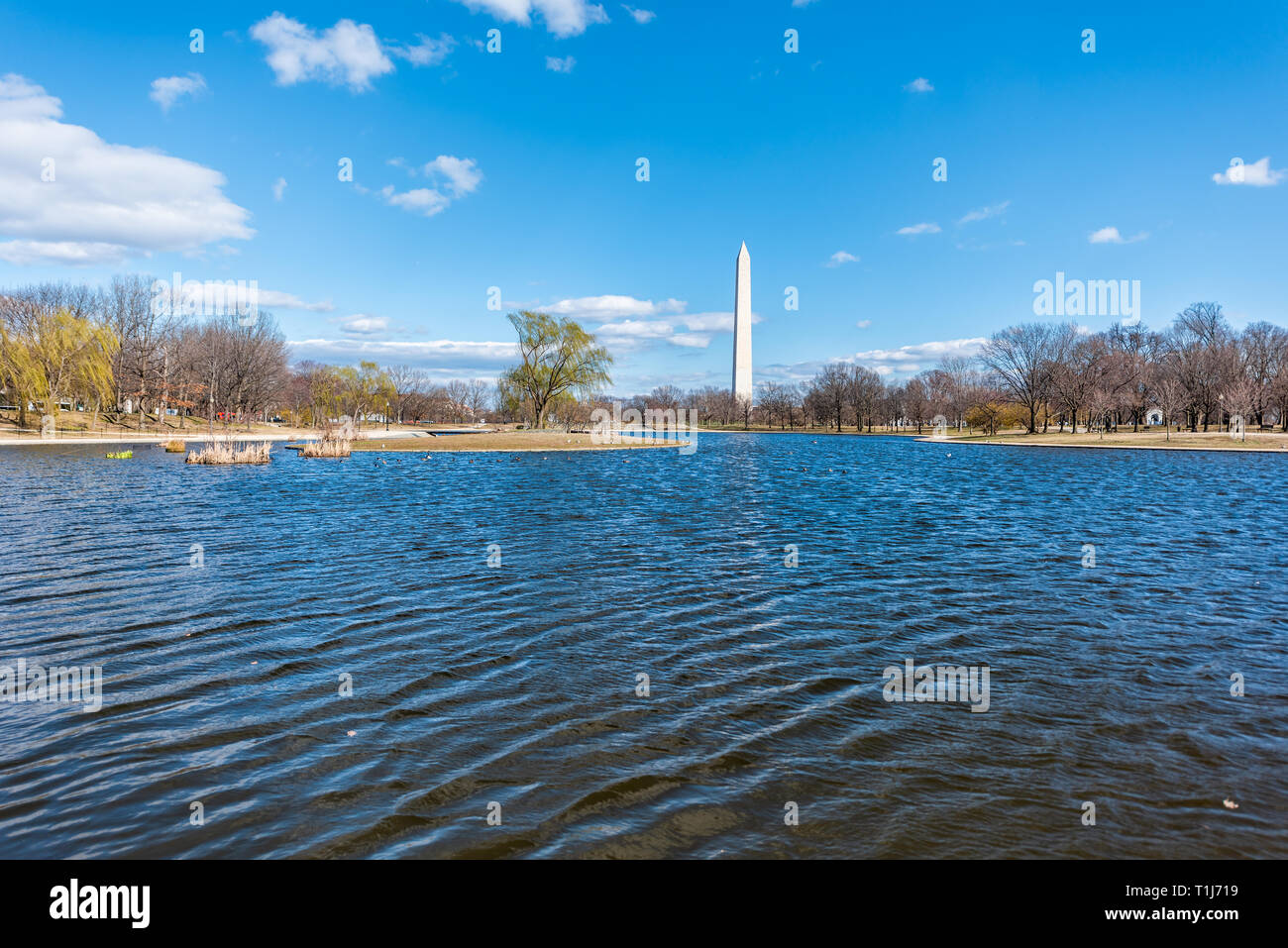 Washington Monument durante l inverno pieno di sole di primavera nella Costituzione Giardini stagno con la riflessione sul lago piscina Foto Stock