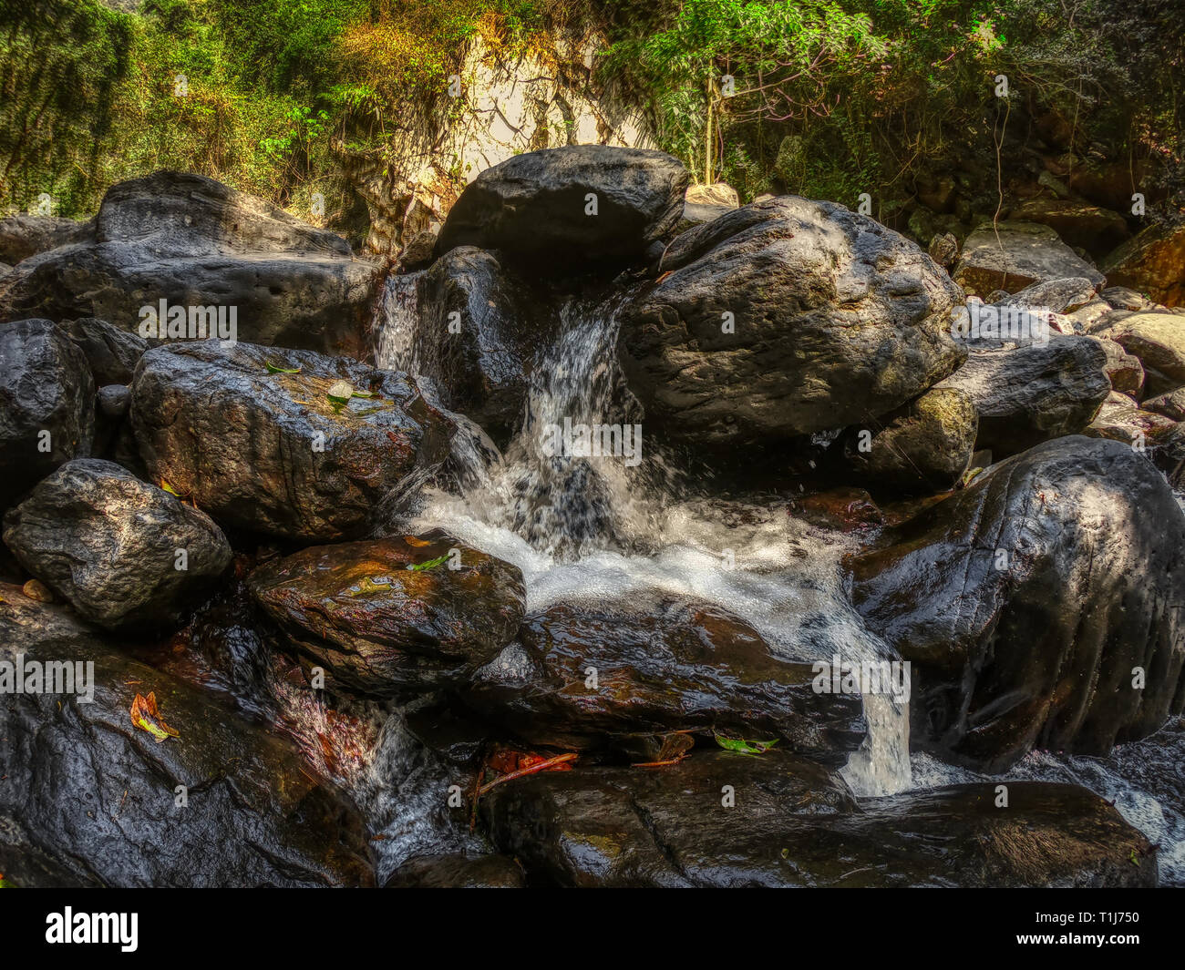 Questa unica foto mostra la giungla cascata e splendida natura anche chiamato Palau cascata Hua Hin in Thailandia Foto Stock