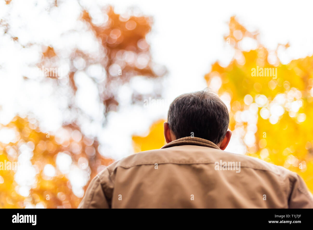 Virginia giallo arancione rosso autunno alberi bokeh vista in Fairfax County foglie colorate nel nord VA sul Sugarland eseguire Stream Valley Trail con retro cl Foto Stock