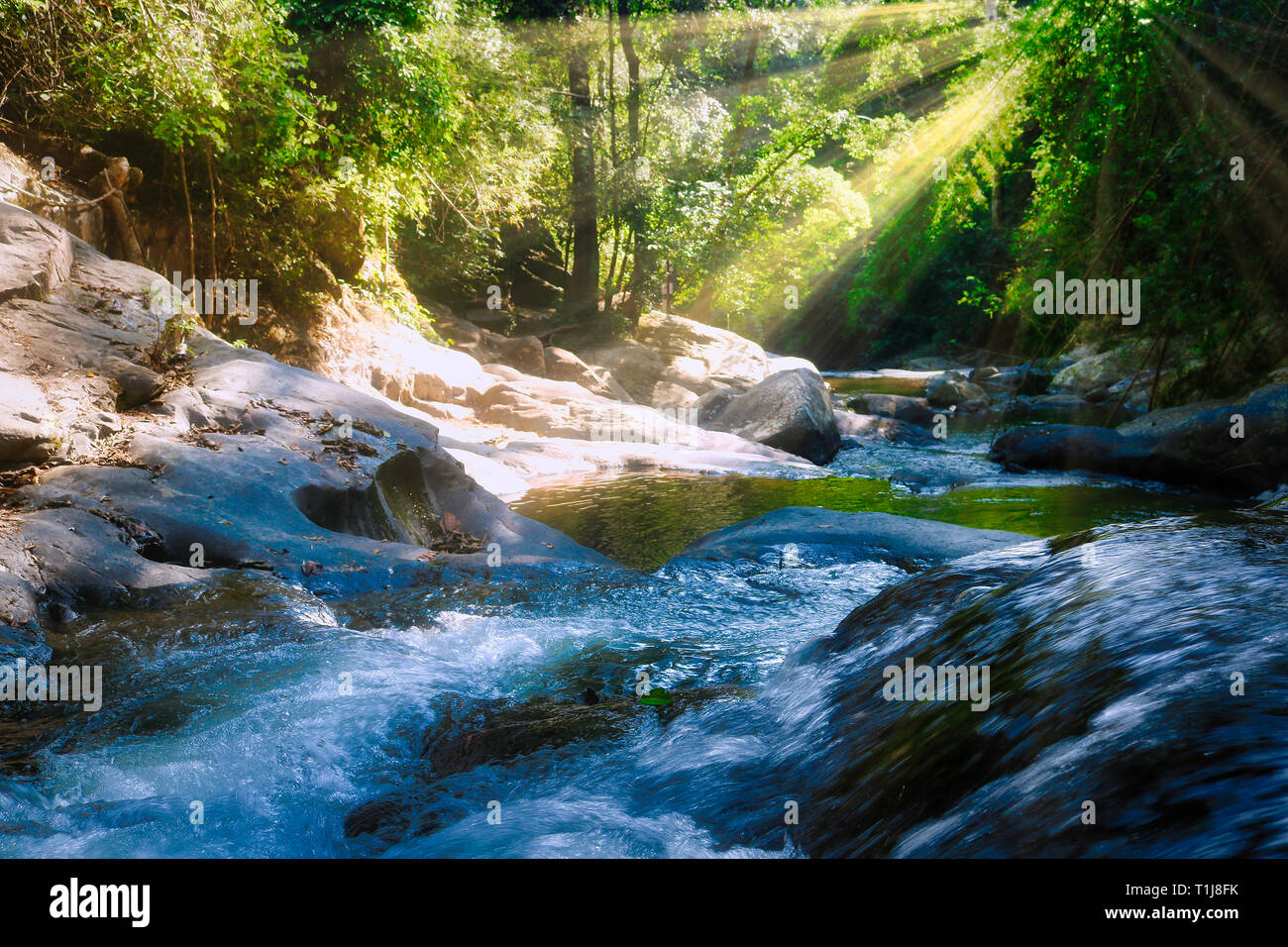Questa unica foto mostra la giungla cascata e splendida natura anche chiamato Palau cascata Hua Hin in Thailandia Foto Stock
