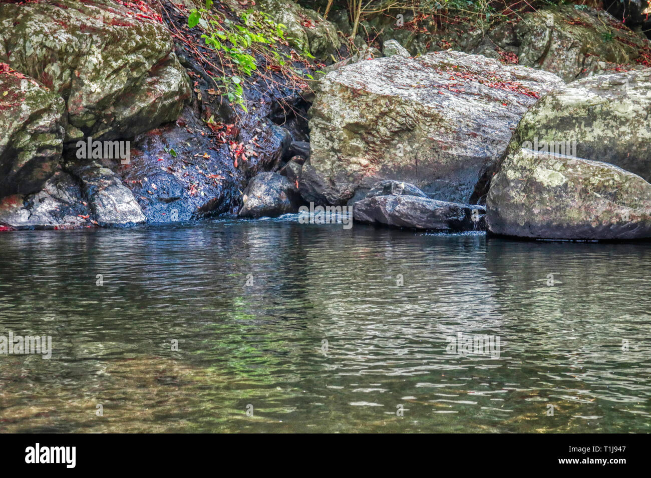 Questa unica foto mostra la giungla cascata e splendida natura anche chiamato Palau cascata Hua Hin in Thailandia Foto Stock