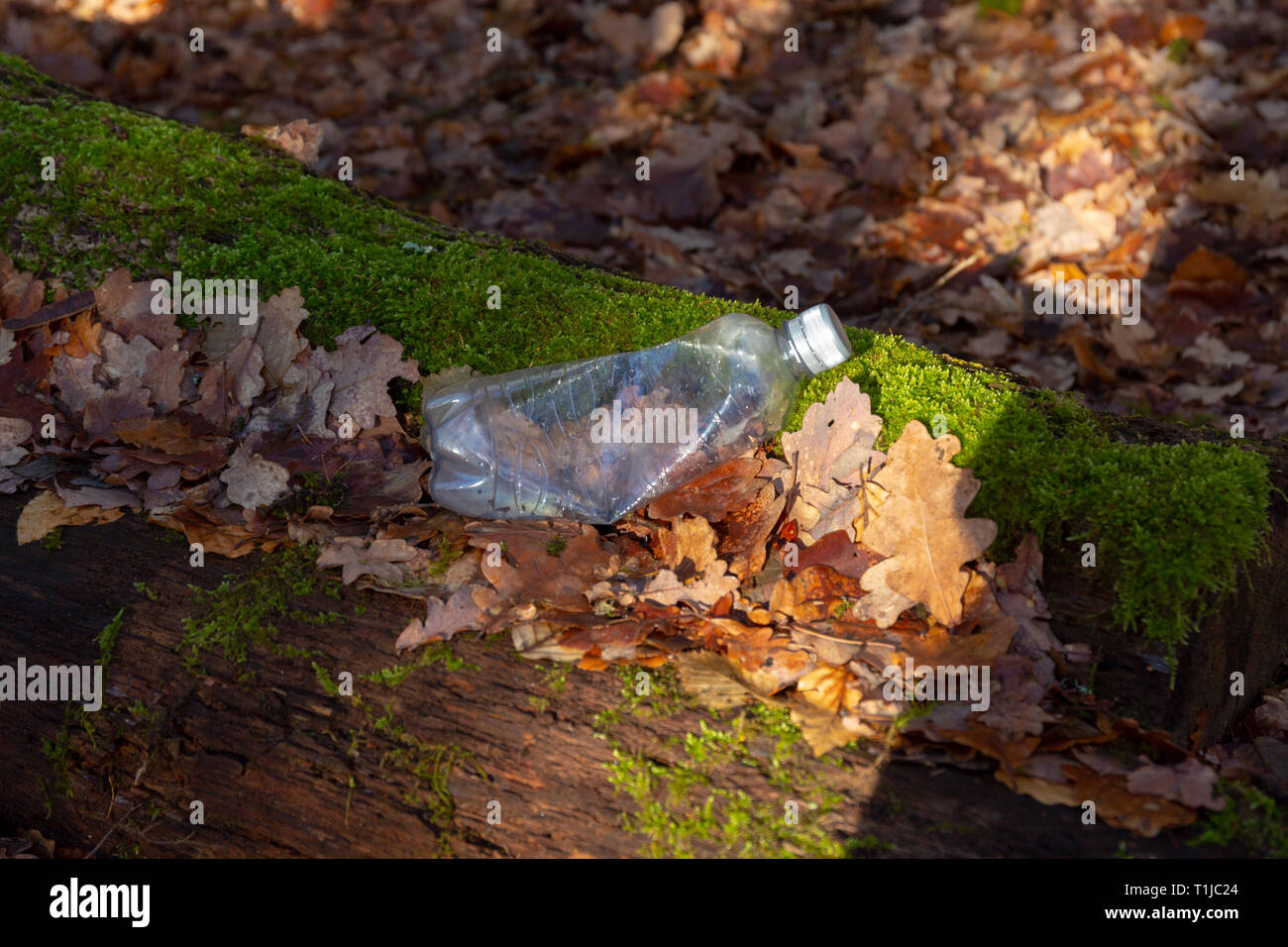 Ancora la vita di un vuoto utilizzato la bottiglia di plastica dei rifiuti sul suolo della foresta come un inquinamento ambientale closeup Foto Stock
