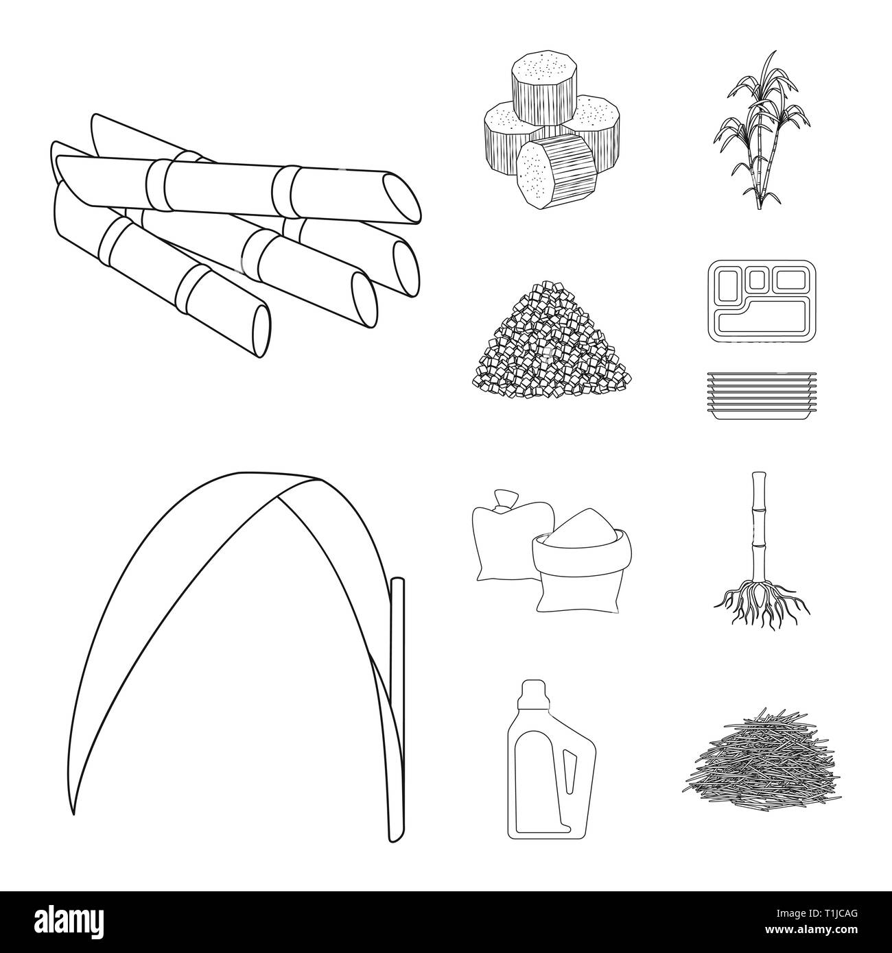 Stick,pezzo,bush,cartone,foglie,bag,root,Casa,bagasse,succhi di frutta,cube,palm,granulata,contenitore,verde,sabbia,sistema,prodotti chimici,materie,harvest,l'india,pilastro,blocco,pack,carboidrato,procedimento,capacità,sinistra,lo zucchero,campo,impianto,plantation,agriturismo,l'agricoltura,saccarosio,technology,la canna da zucchero, la canna da zucchero,impostare,vettore,icona,immagine,isolato,raccolta,design,l'elemento,graphic,segno,contorno,linea vettori vettore , Illustrazione Vettoriale