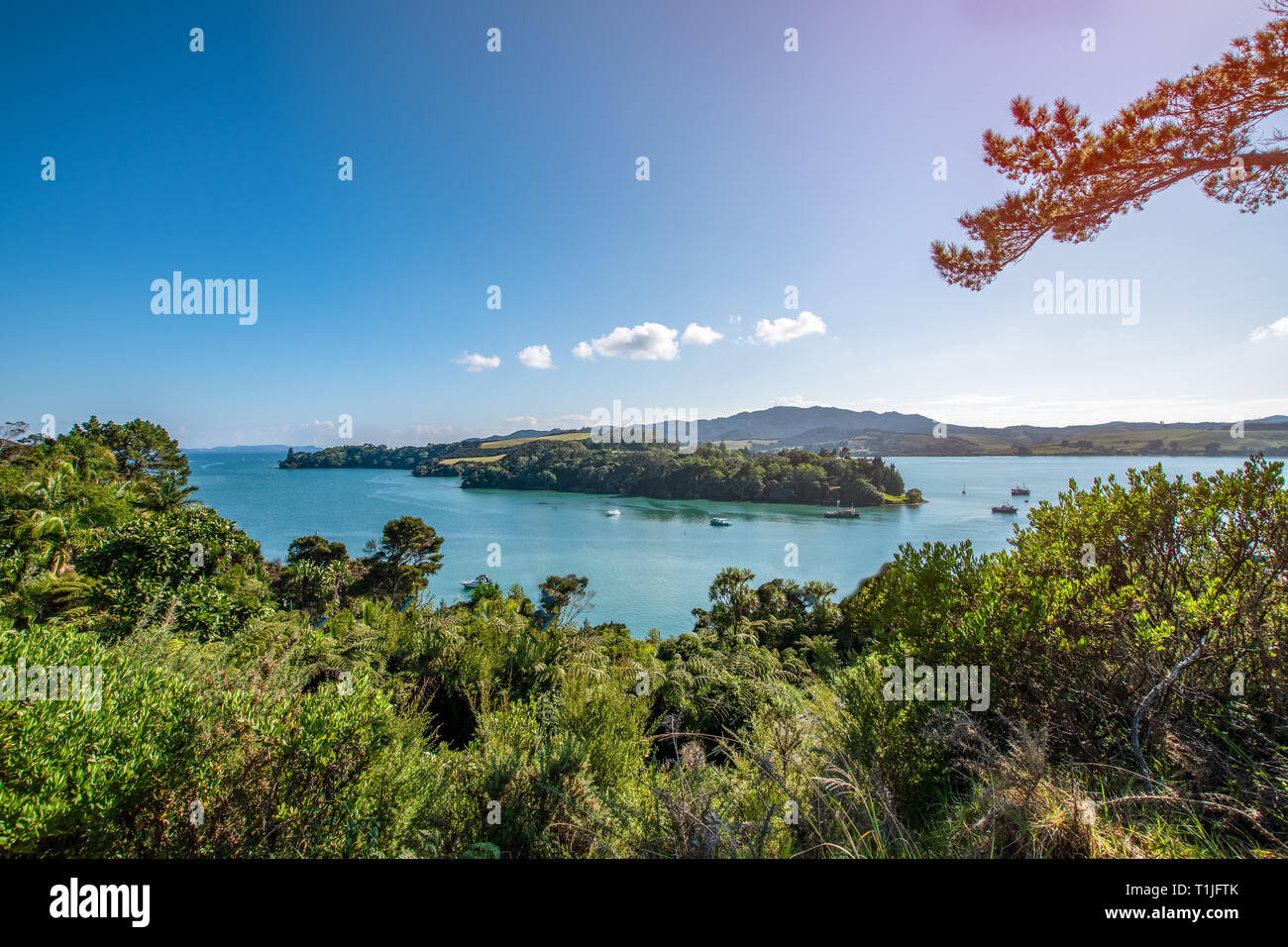 Una bella vista del porto di Mangonui nell estremo nord della Nuova Zelanda Foto Stock