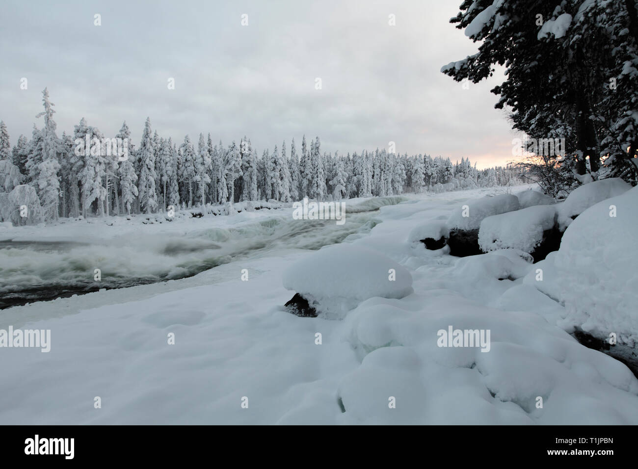 Il freddo inverno sera, alcune nebbia. Rapids questo lato di neve e foresta coperta. Rock e scogliere. Coperto. Foto Stock