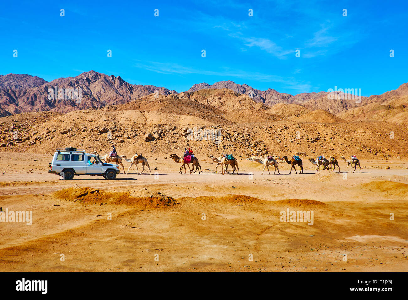 La vista sul paesaggio di montagna del deserto del Sinai, camel train, andando lungo la strada polverosa e la guida fuori strada, in Egitto. Foto Stock