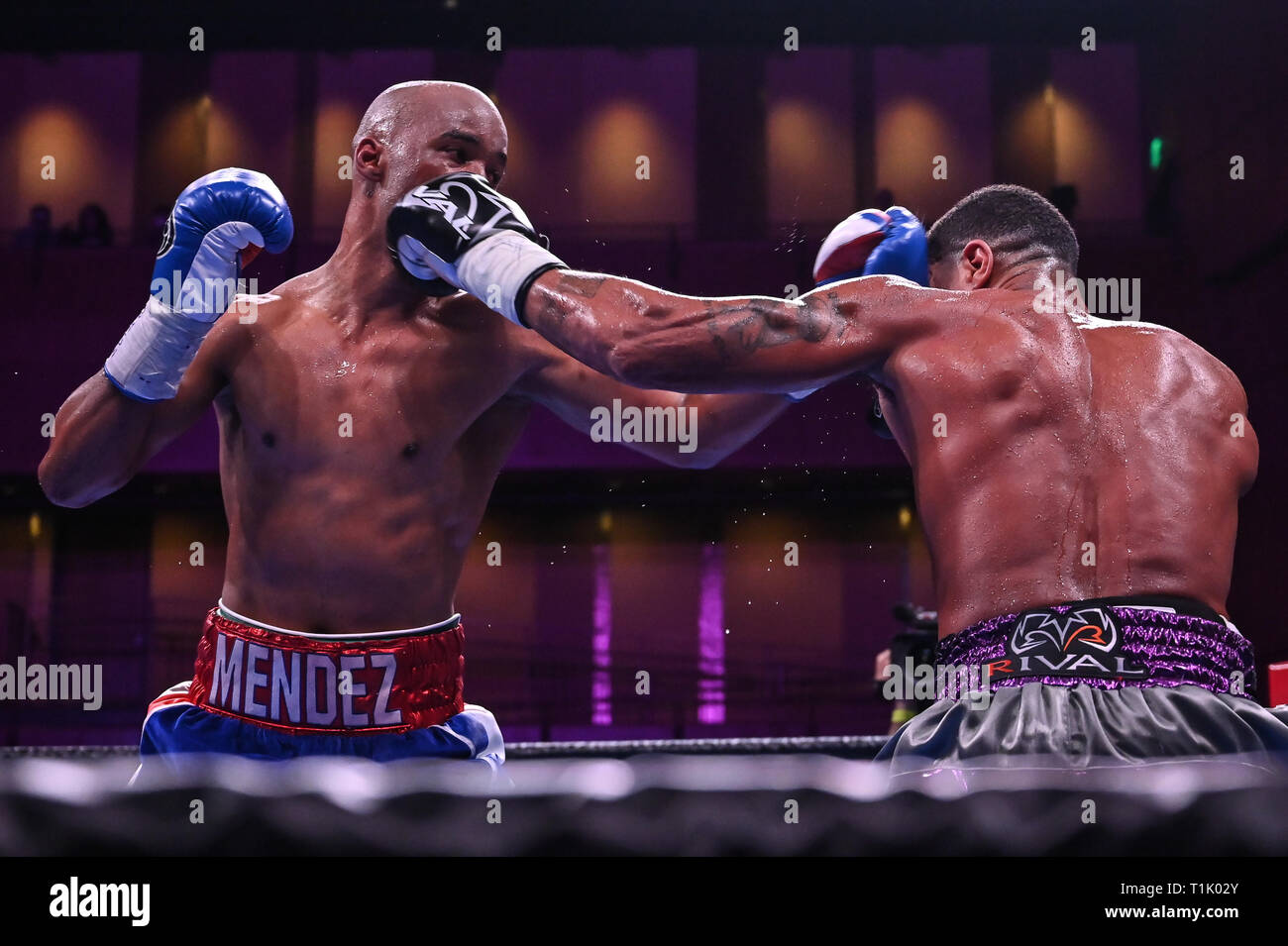 Oxon Hill, Maryland, Stati Uniti d'America. 24 Mar, 2019. ANTHONY PETERSON e ARGENIS MENDEZ exchange colpi durante il junior welterwweight corrispondono a MGM Porto Nazionale in Oxon Hill, Maryland. Credito: Amy Sanderson/ZUMA filo/Alamy Live News Foto Stock