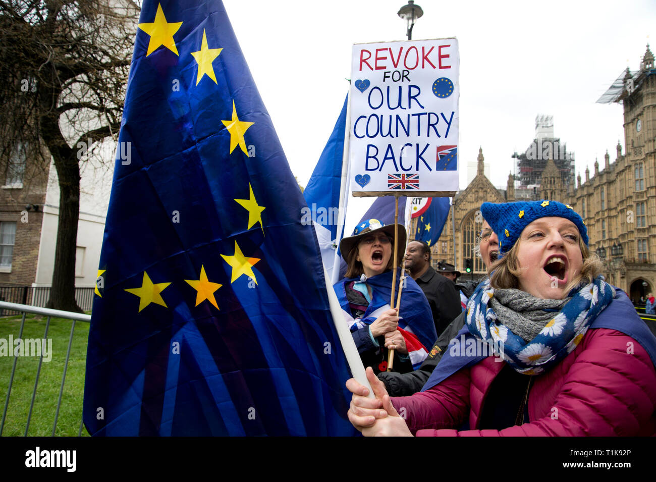 Londra, Regno Unito. 27 Mar, 2019. 27 marzo 2019 Westminster, la Casa del Parlamento. Rimangono i manifestanti gridare "No Brexit' e una donna, Helen, detiene una targhetta dicendo "revocare per il nostro paese". Credito: Jenny Matthews/Alamy Live News Foto Stock