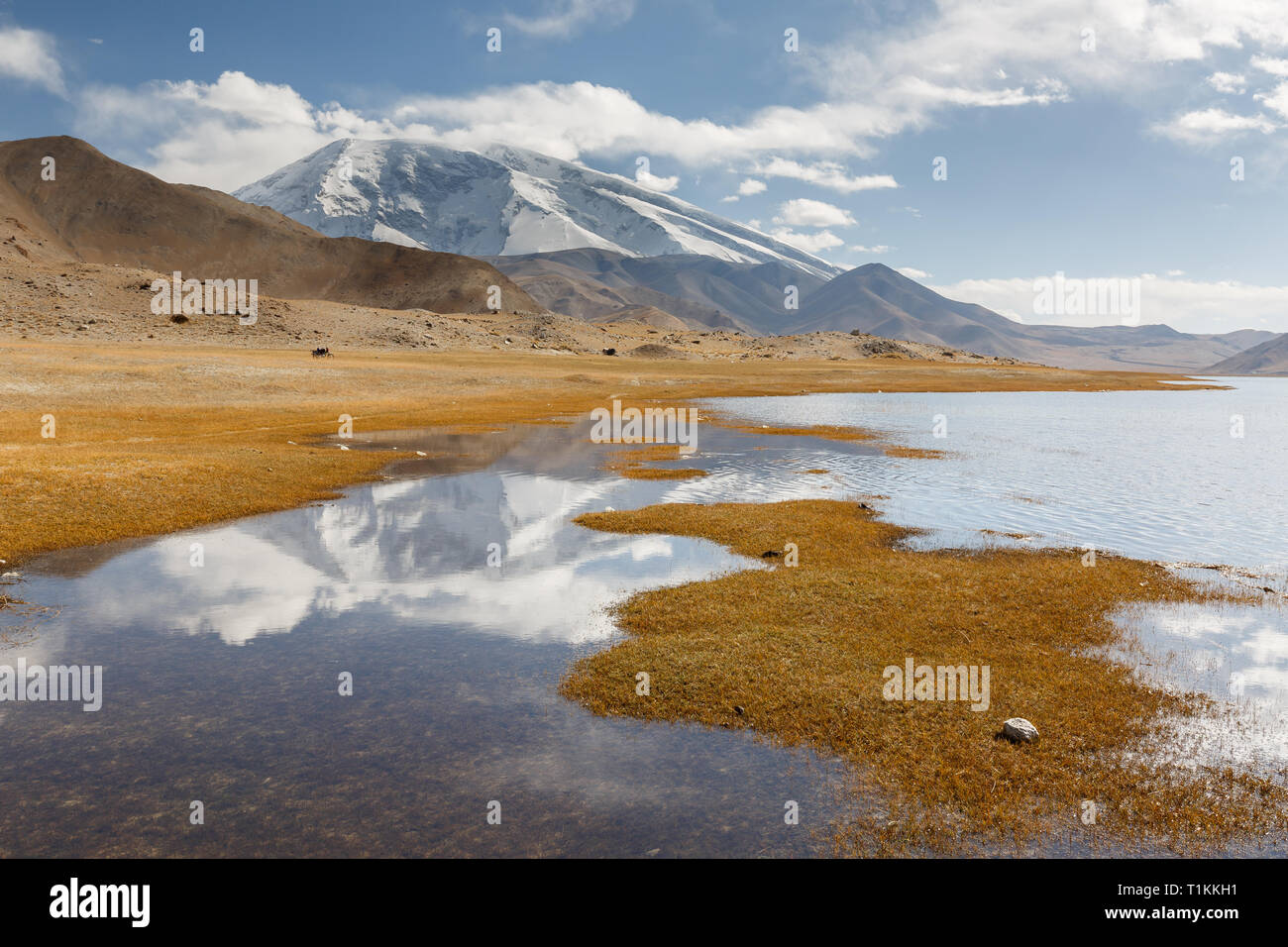 Muztagh Ata (Lago Karakul, Xinjiang, Cina) Foto Stock