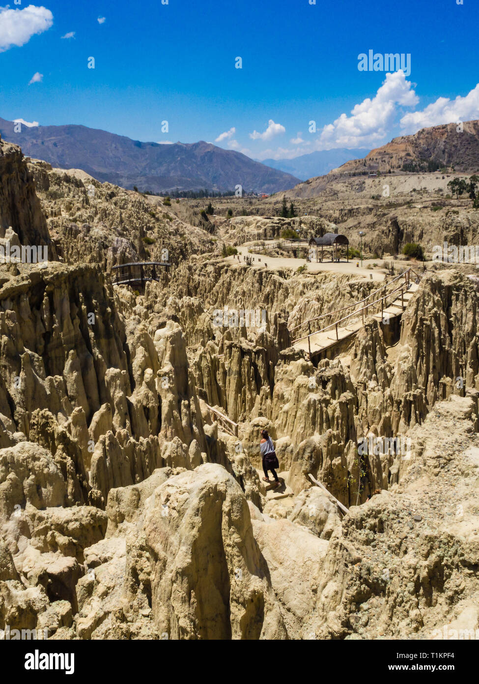 Uniche formazioni geologiche scogliere forme, Valle della Luna park, La Paz montagne, Bolivia viaggi turistici di destinazione. Foto Stock