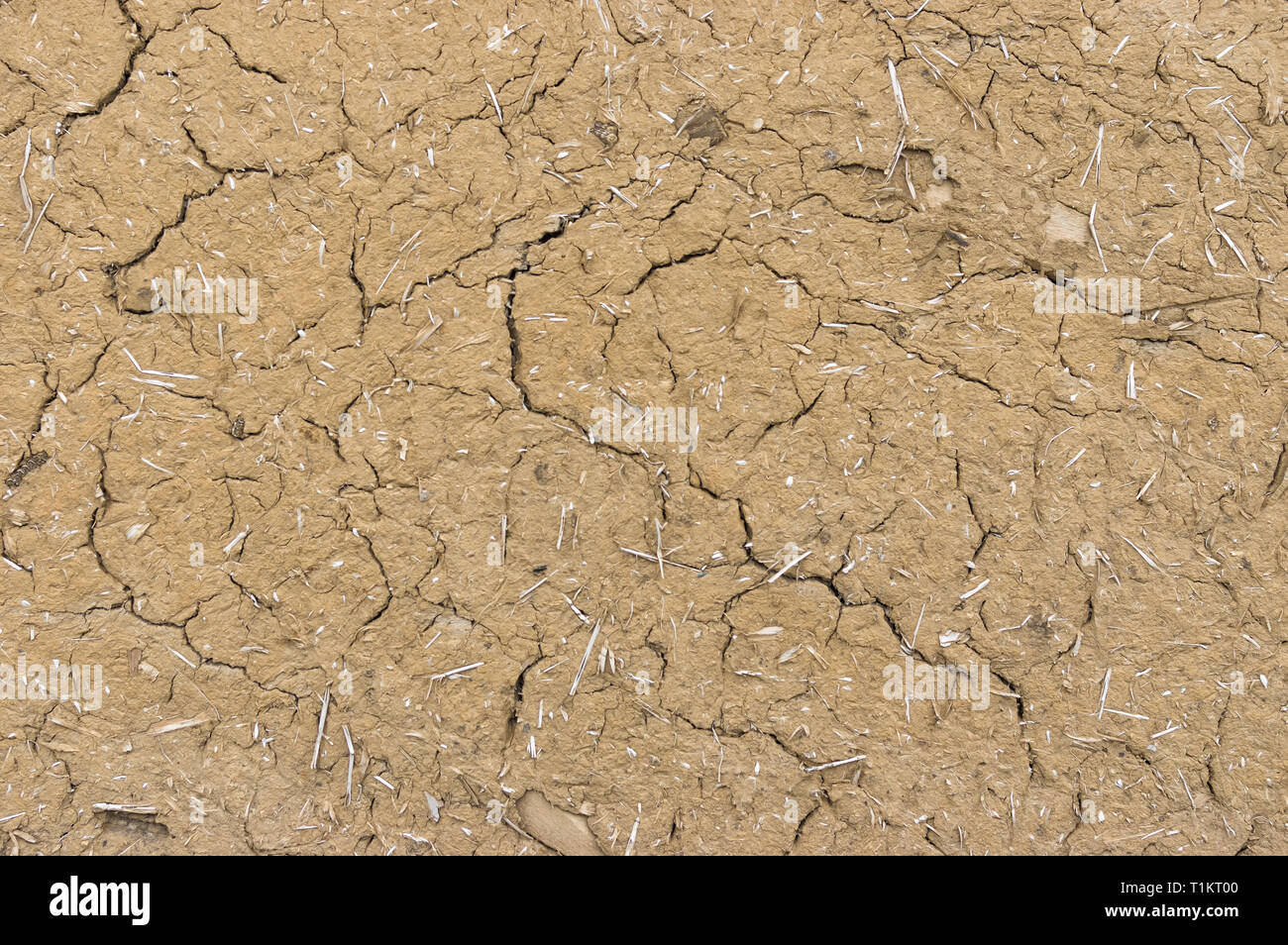 Parete incrinata dell antica e bargiglio daub casa in Ucraina Foto Stock