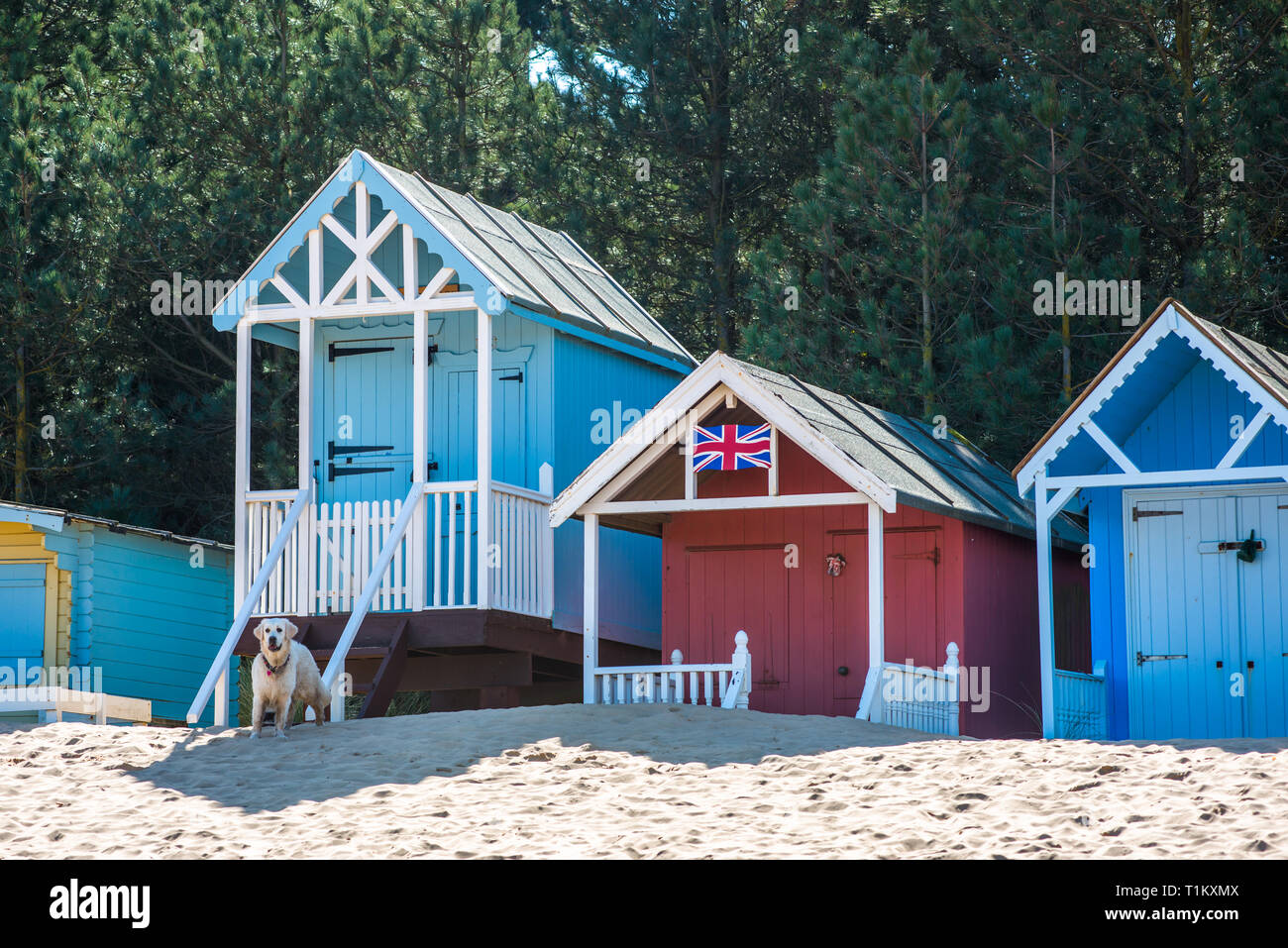 Pittoresca spiaggia di capanne sulla spiaggia di pozzi a Wells accanto al mare sulla Costa North Norfolk, East Anglia, Inghilterra, Regno Unito. Foto Stock
