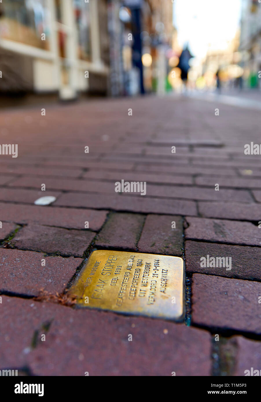 Le pietre di inciampo o Stolpersteine sono olocausto lapidi di fronte alle vittime ultimo home, Nieuwe Hoogstraat, Amsterdam Foto Stock