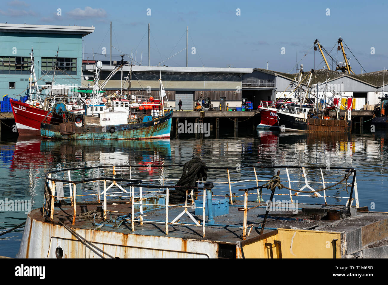 Brixham, Devon, Pesca, Spiaggia, Porto, Store, architettura, di finanza aziendale e dell'industria, delle catture di pesce, funzione costiere, coste, Foto Stock