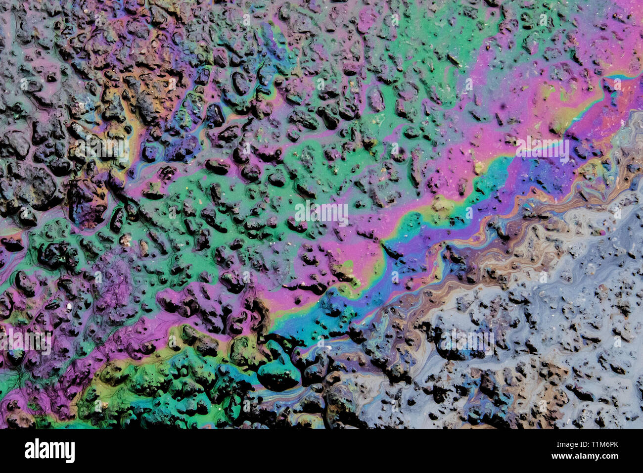 Fuoriuscite di olio sul pavimento stradale Foto Stock