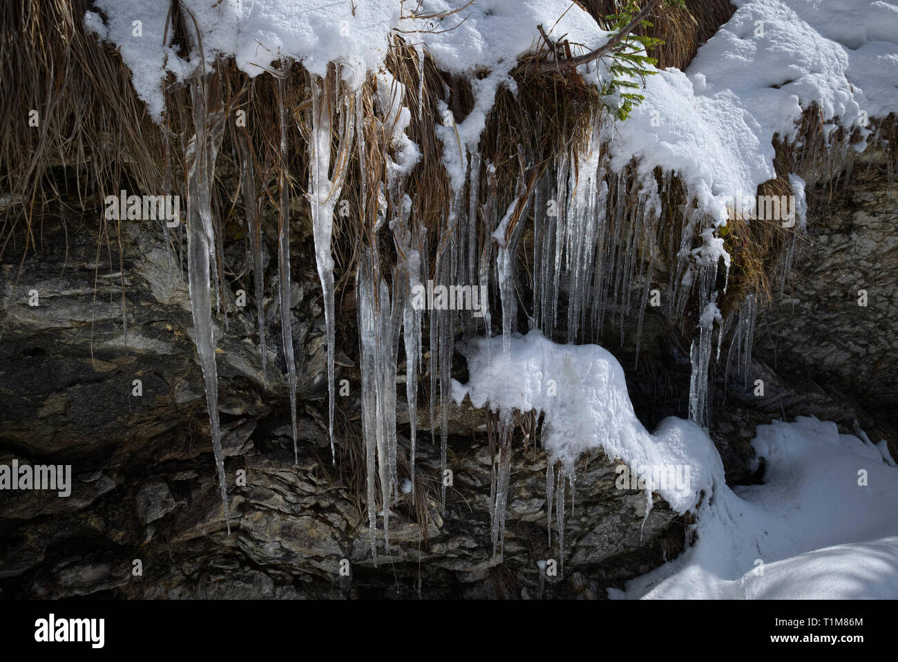 Neve e Lunghi ghiaccioli su roccia, Austria Foto Stock