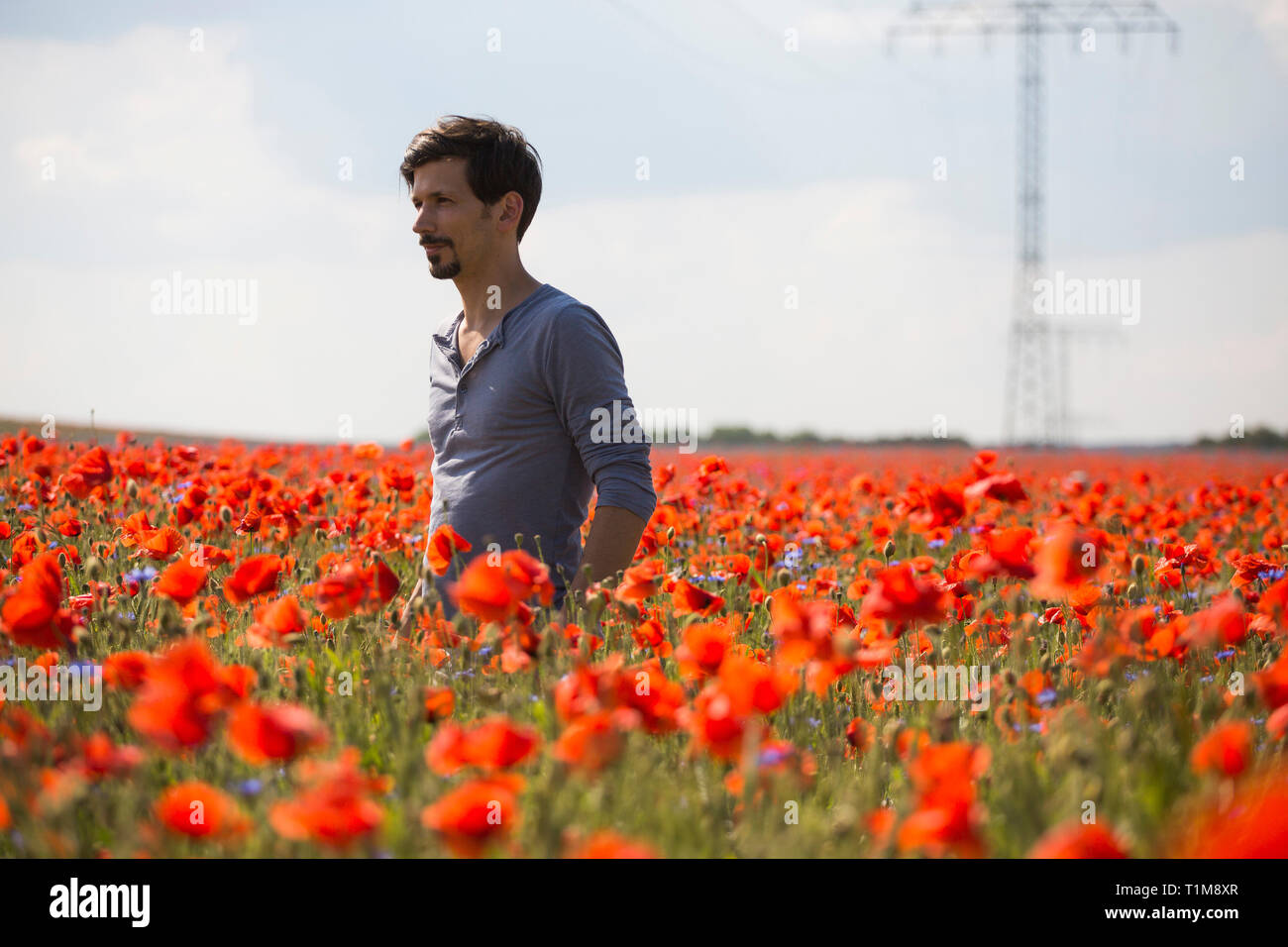 Uomo in piedi in soleggiato, idilliaco campo rurale papavero rosso Foto Stock