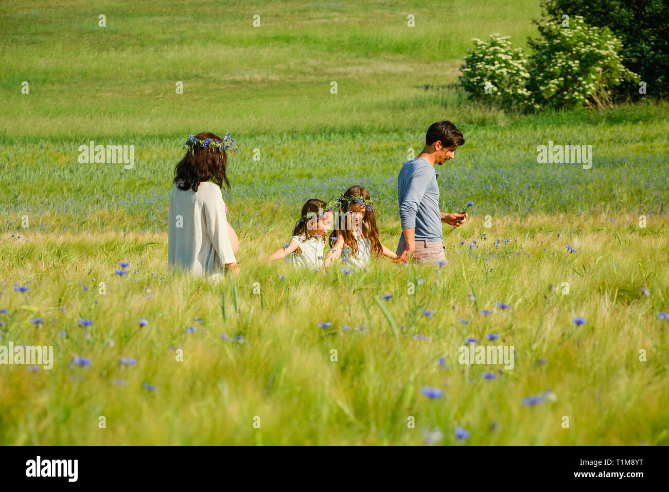 Famiglia a piedi in un soleggiato, idilliaco campo rurale verde con fiori selvatici Foto Stock