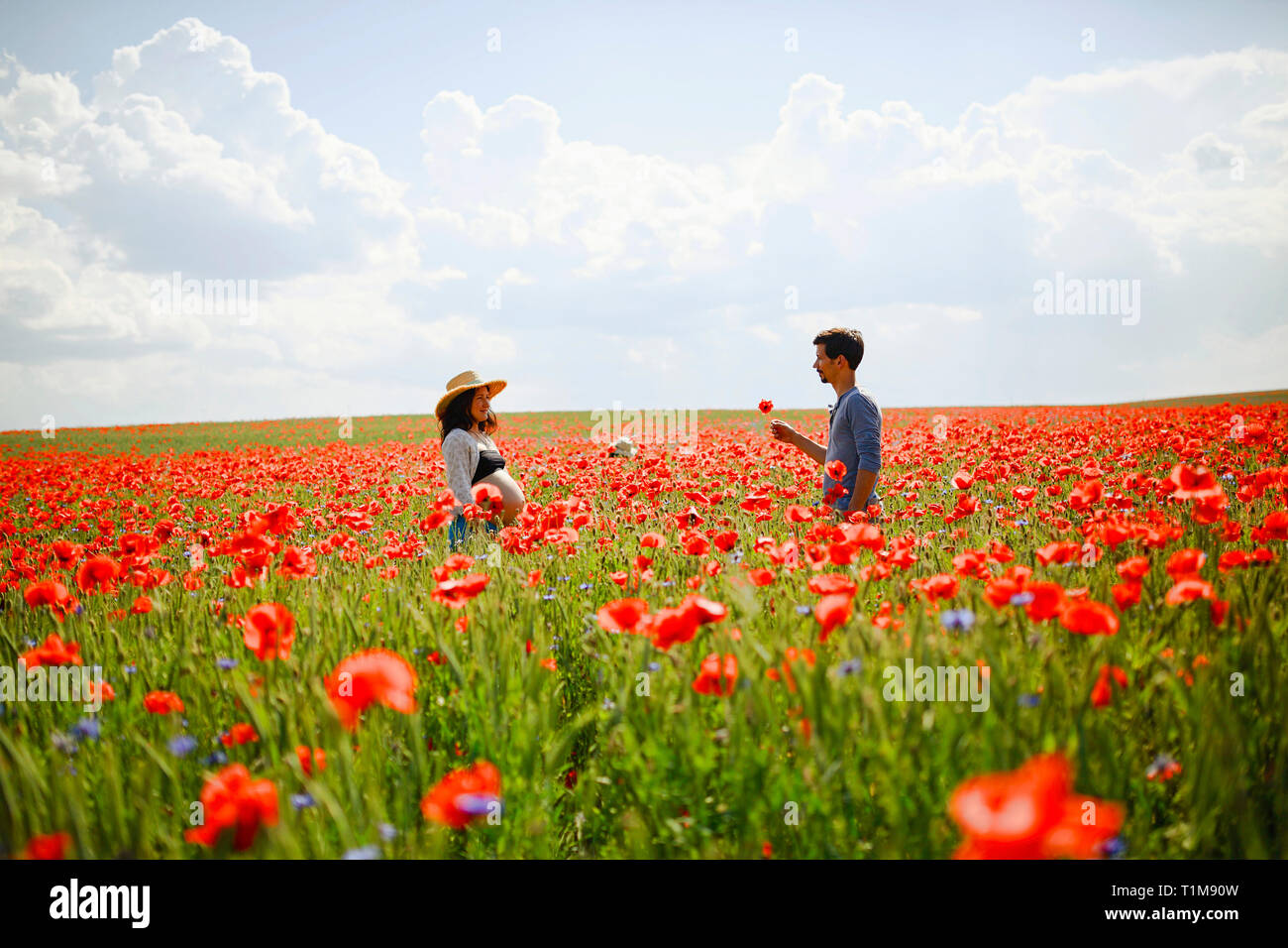 Coppia incinta in un campo di papavero rosso soleggiato e idilliaco Foto Stock