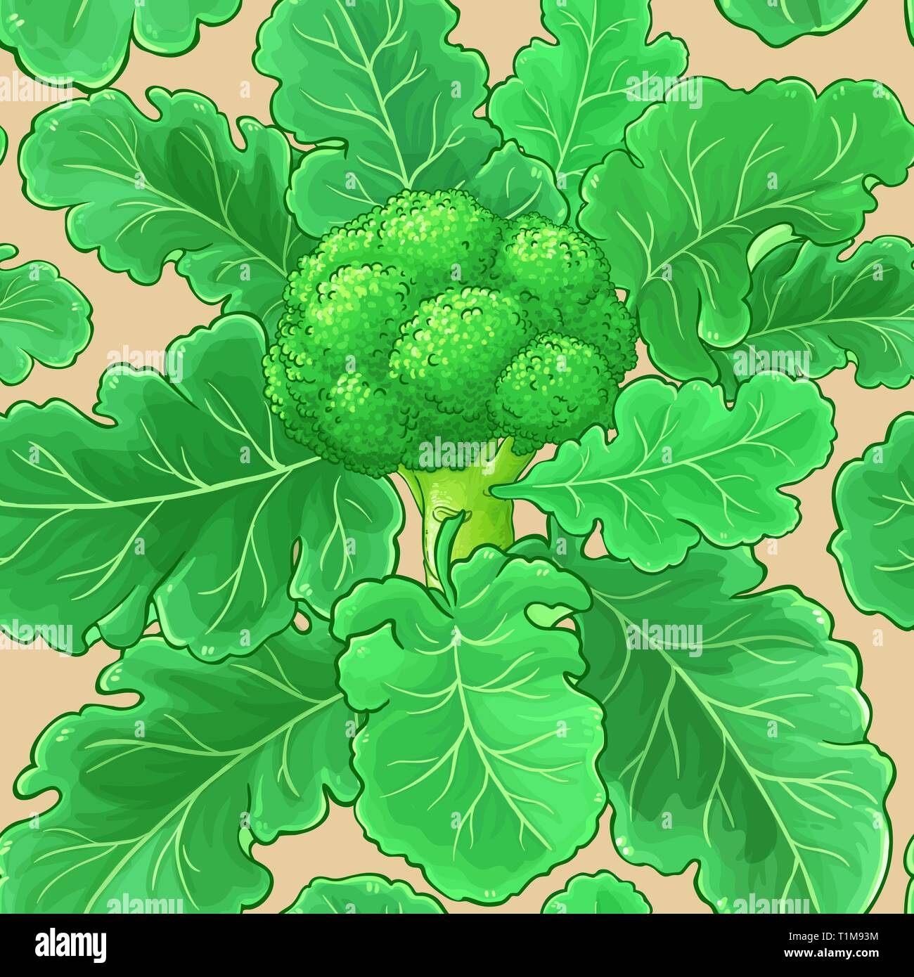 Vettore di broccoli pattern sul colore di sfondo Illustrazione Vettoriale