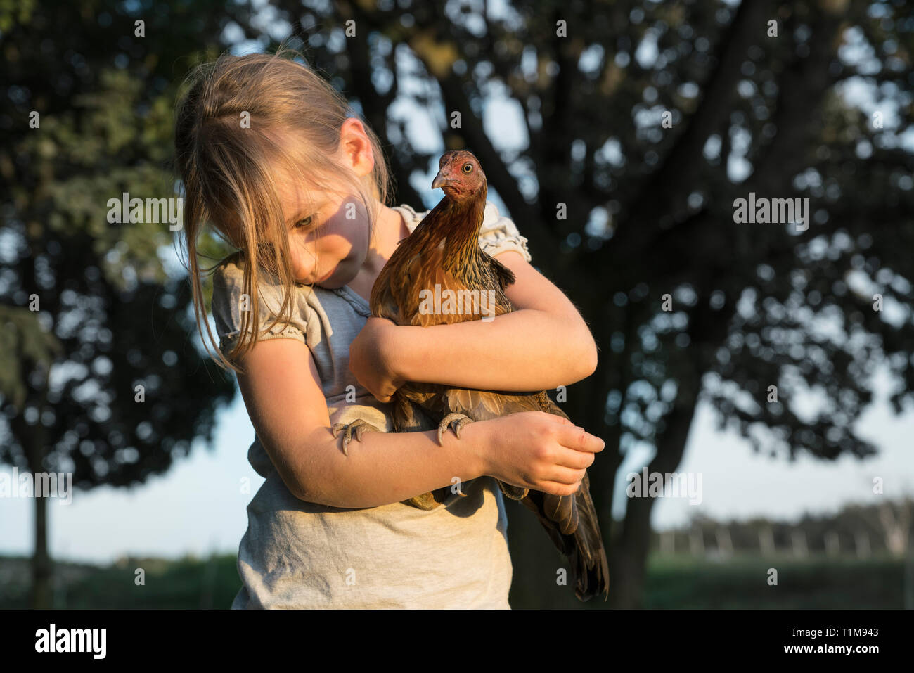 Ragazza con Bush Hen in agriturismo Foto Stock