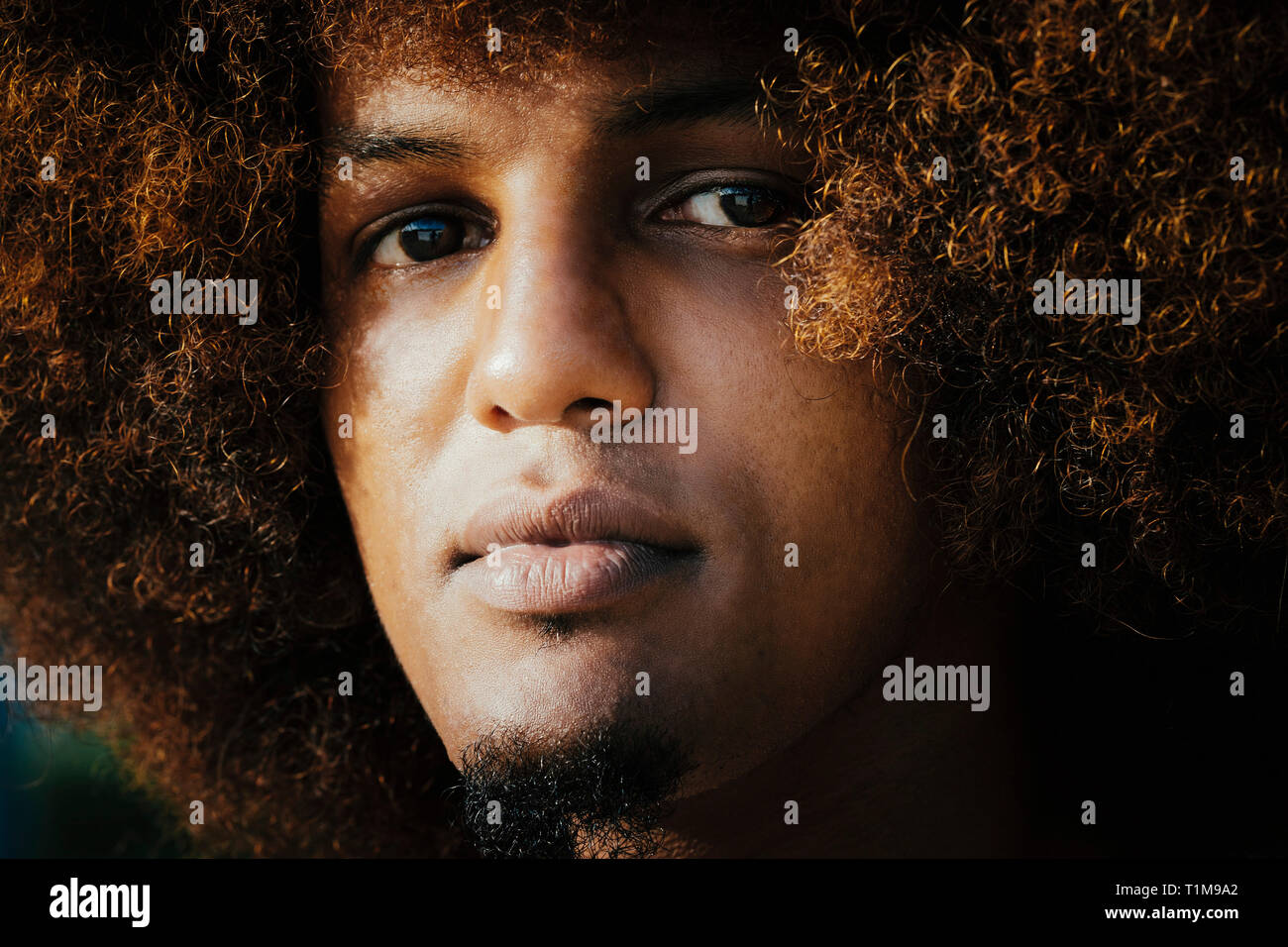 Close up ritratto fiduciosi, giovane serio con afro Foto Stock
