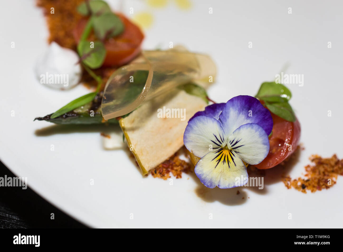 Close up antipasto gourmet con fiori commestibili Foto Stock