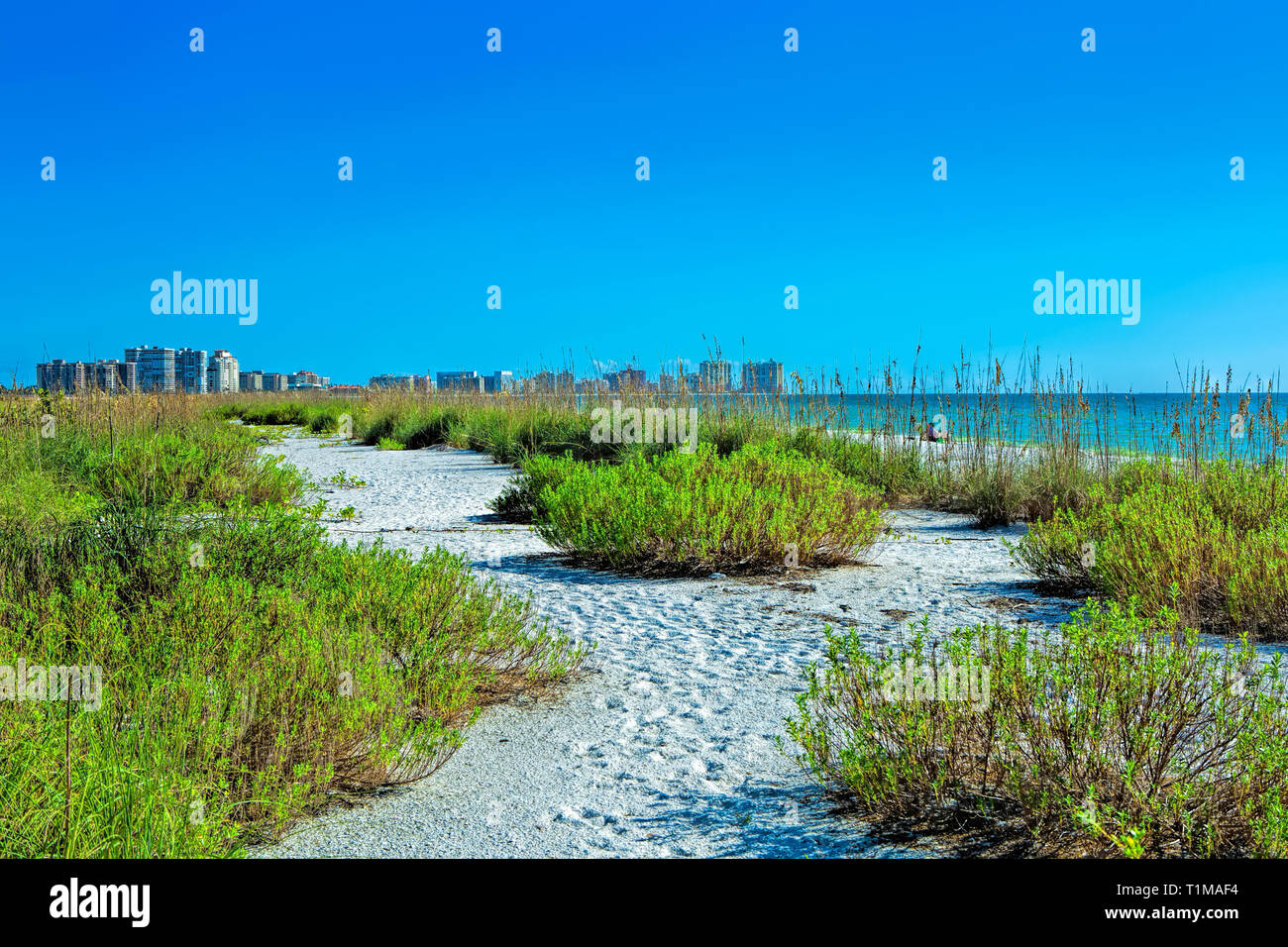 Tigertail spiaggia a Marco Island Foto Stock