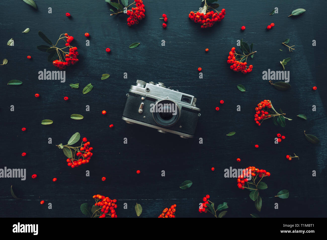 Piatto tanga laici vecchio stile vintage fotografia fotocamera sul legno scuro dello sfondo con composizioni floreali Foto Stock