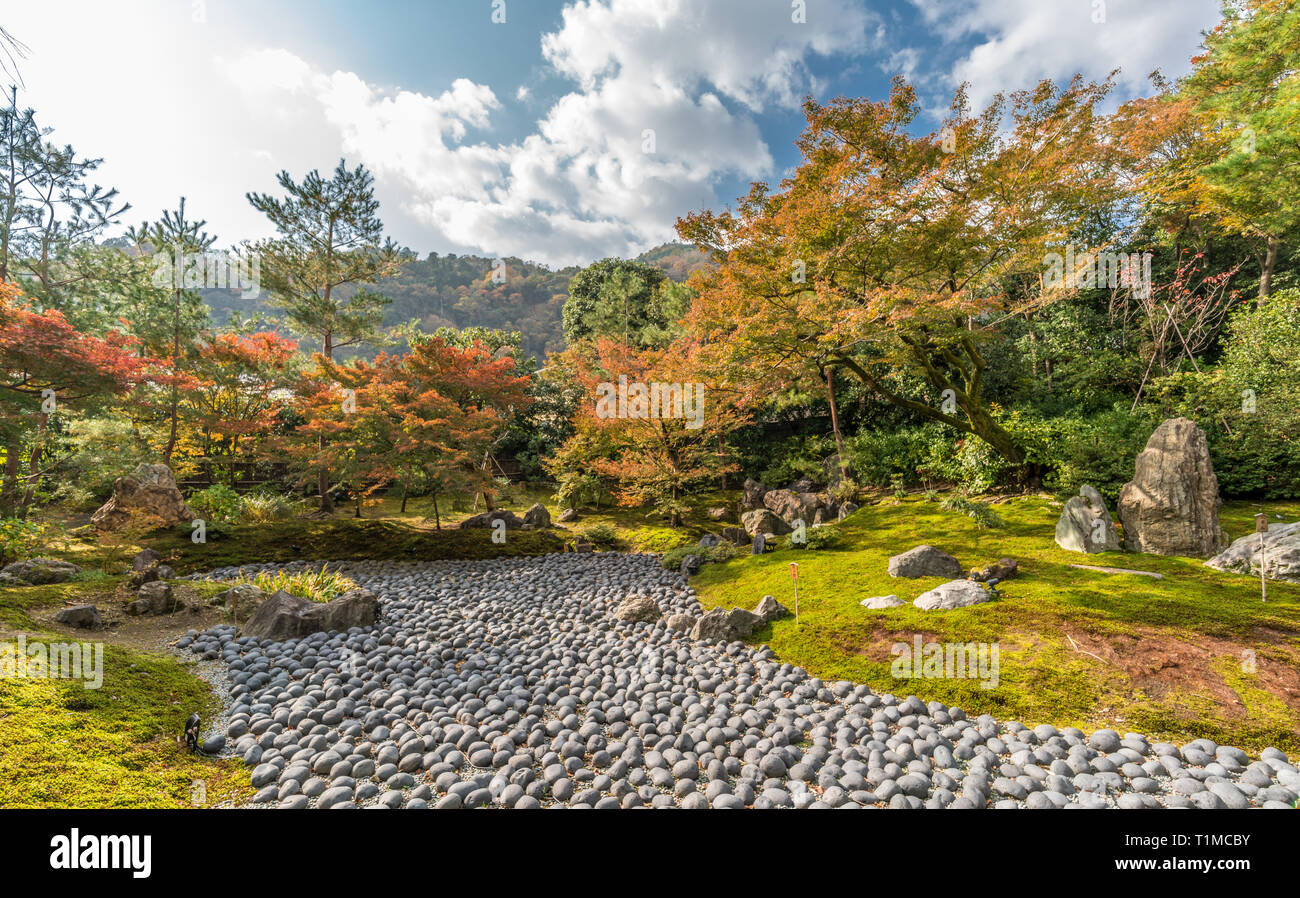 Foglie di autunno e la caduta delle foglie a Hogon-in tempio Karesansui (giardino di pietra). Tenryu-ji sub-tempio situato in Arashiyama, Kyoto, Giappone Foto Stock