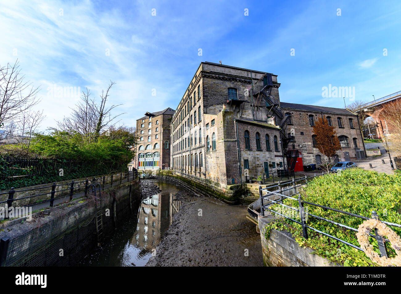 Valle Ouseburn, Newcastle upon Tyne, Regno Unito Foto Stock